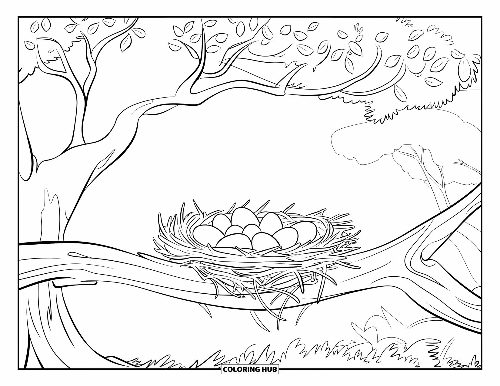 Chicken Coloring Page for Kids: Nest filled with eggs resting on a thick branch under a leafy tree