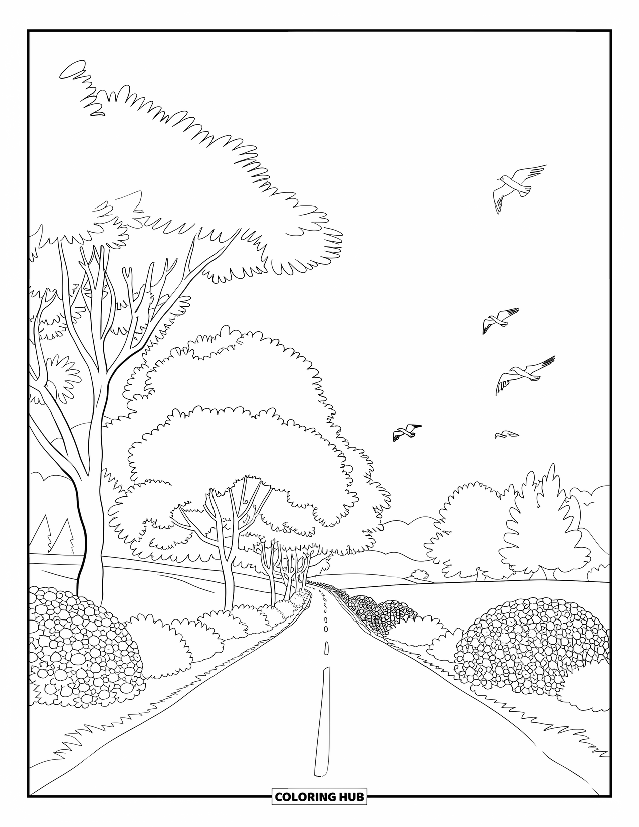 Country Coloring Page for Adults: Winding road through blooming bushes and tall trees with birds in flight