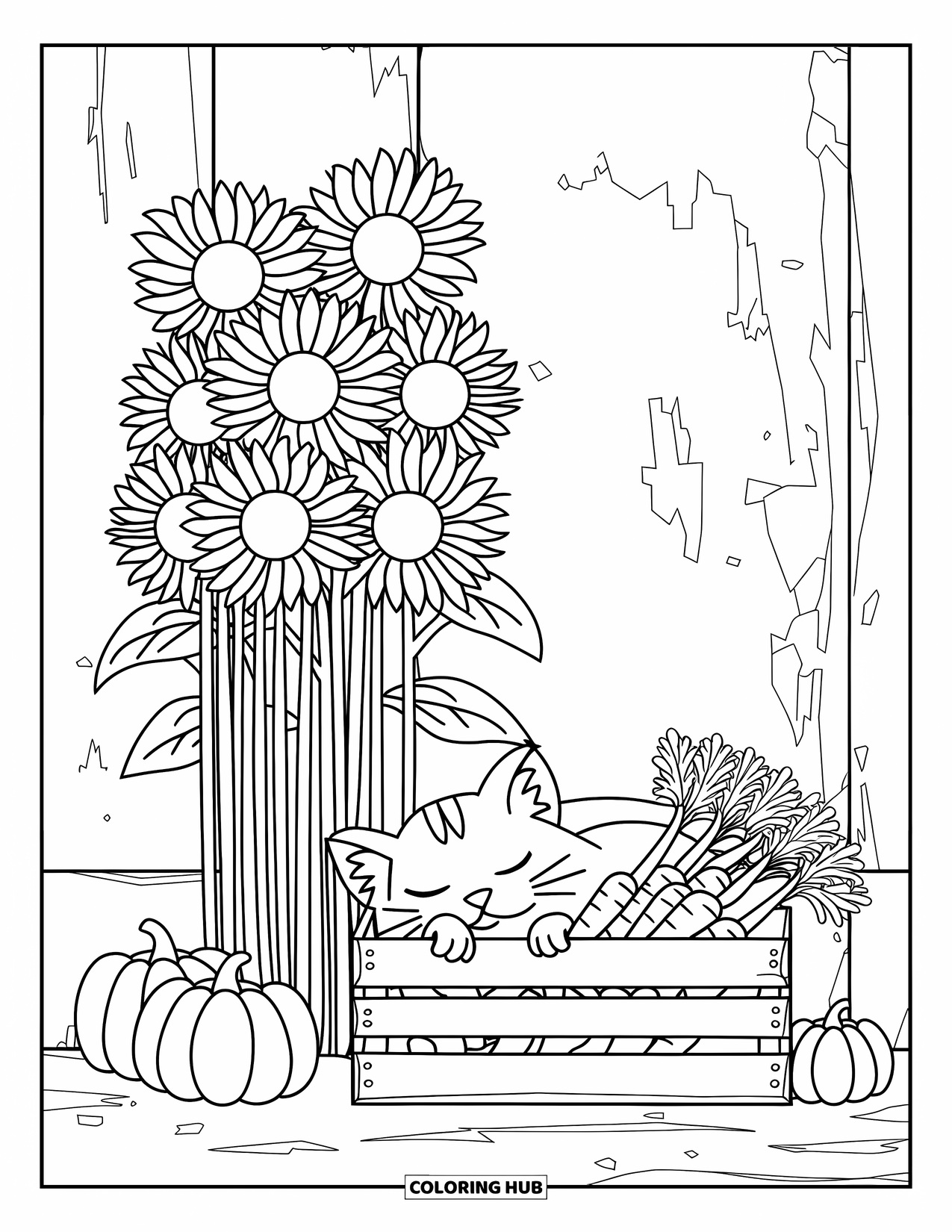 Country Coloring Page for Kids: Barn cat napping on pumpkins and carrots beside a sunflower wall and old barn