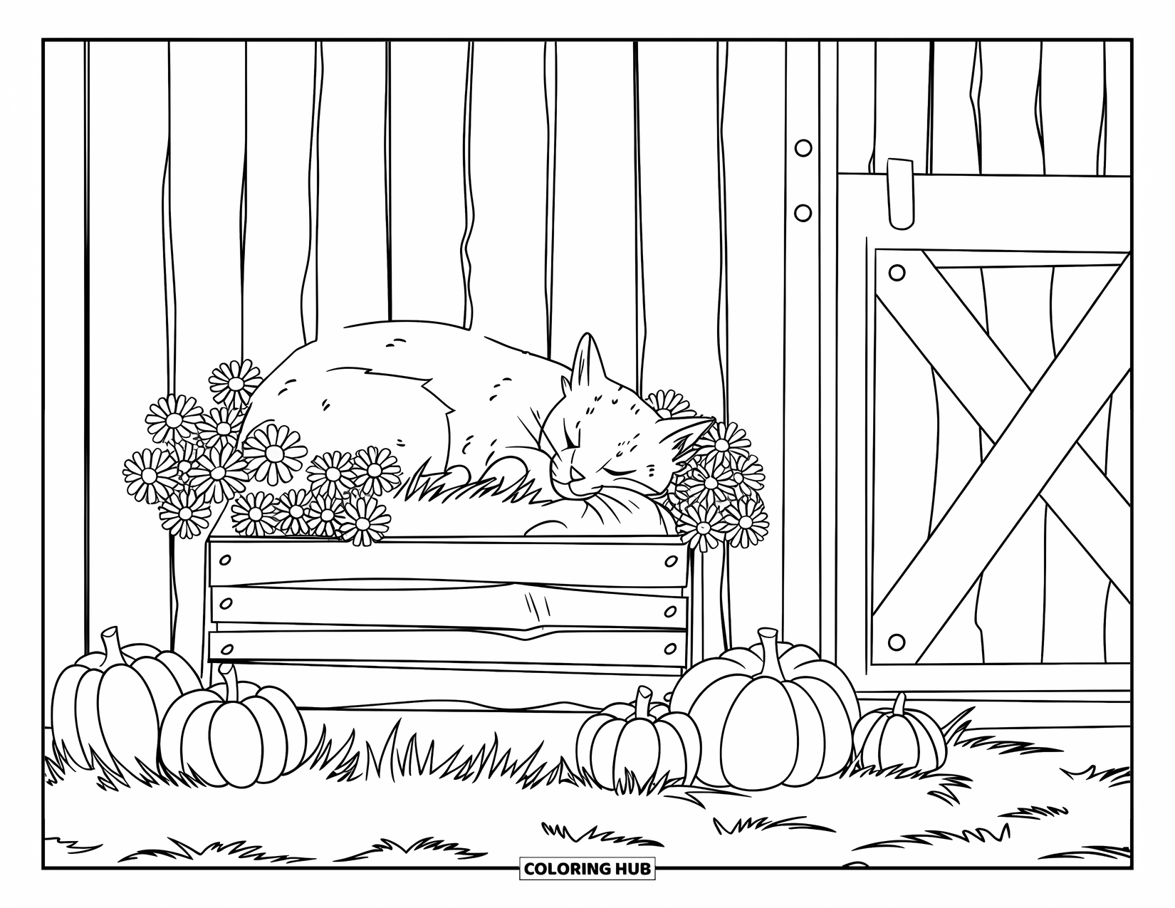 Country Coloring Page for Kids: Barn cat resting in a crate with pumpkins and marigolds by a cozy barn