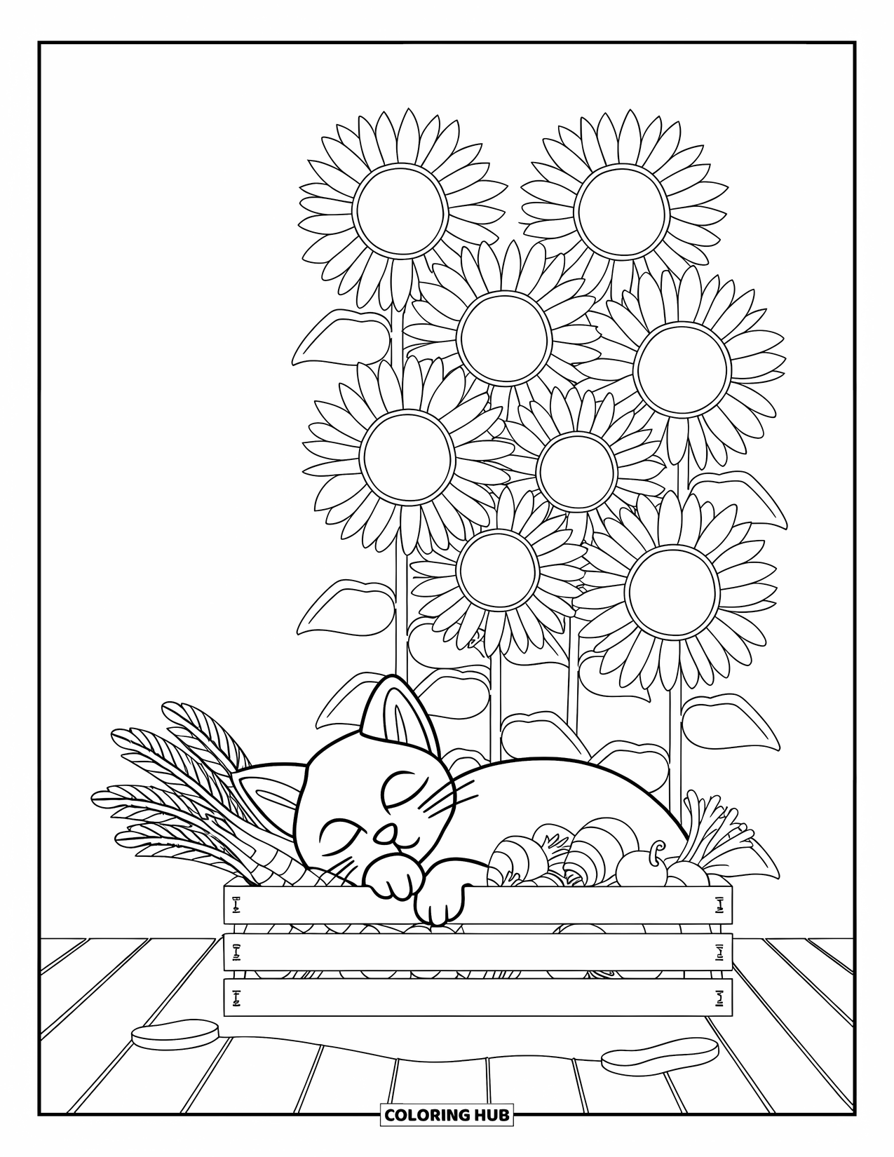 Country Coloring Page for Kids: Peaceful barn cat snoozing on carrots beside bright sunflowers