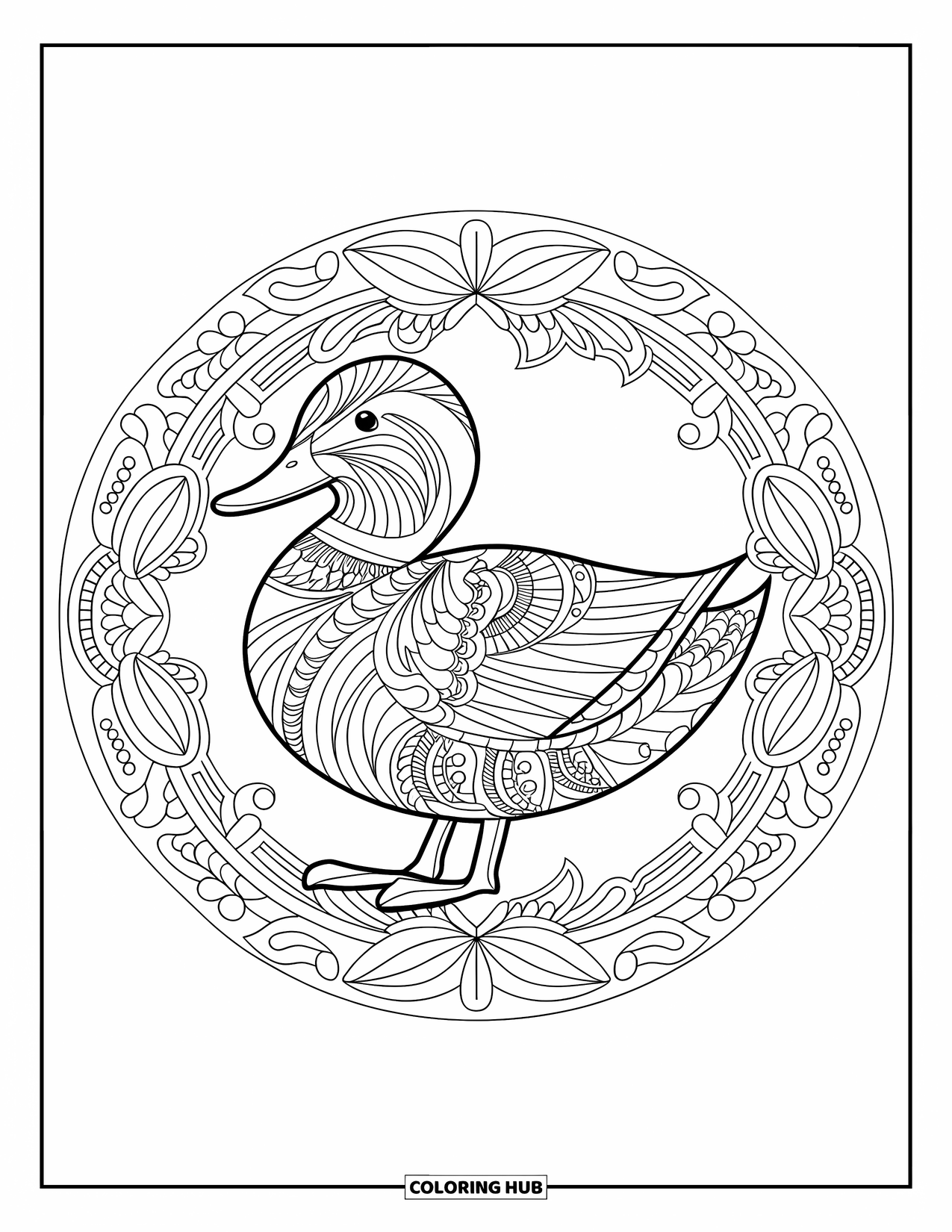 Disegno di un'anatra da colorare per adulti: un disegno circolare di un'anatra si trova tra piume, fiori e bordi decorativi
