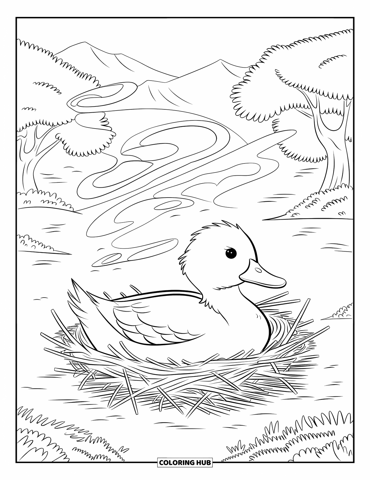 Disegno di un'anatra da colorare per adulti: Un'anatra siede sulle uova in un nido di ramoscelli con disegni di vento vorticosi nelle vicinanze