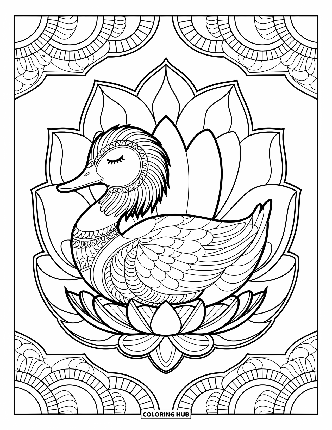 Disegno di un'anatra da colorare per adulti: Un'anatra in stile mandala riposa su un loto, circondata da piume e dettagli floreali