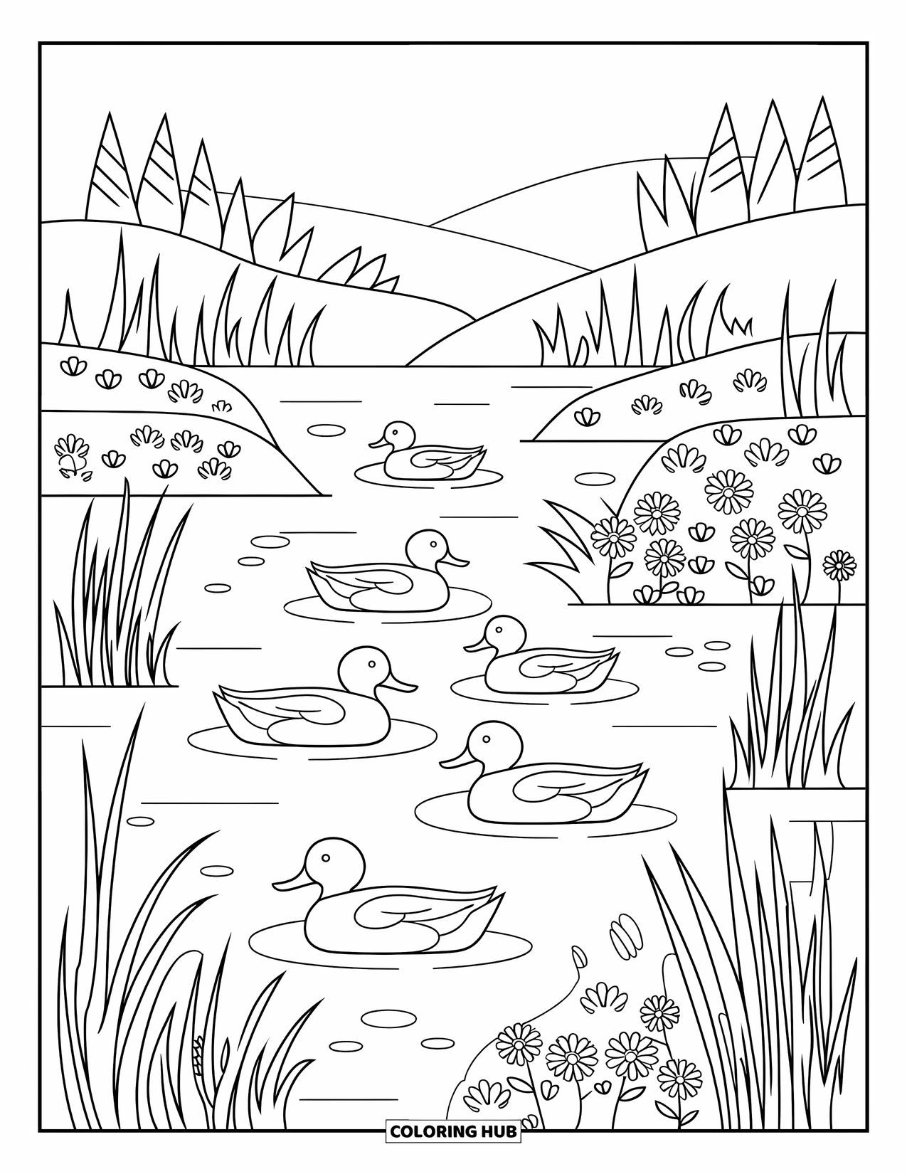 Disegno di un'anatra da colorare per adulti: Le anatre galleggiano dolcemente sull'acqua primaverile, circondate da fiori e canne