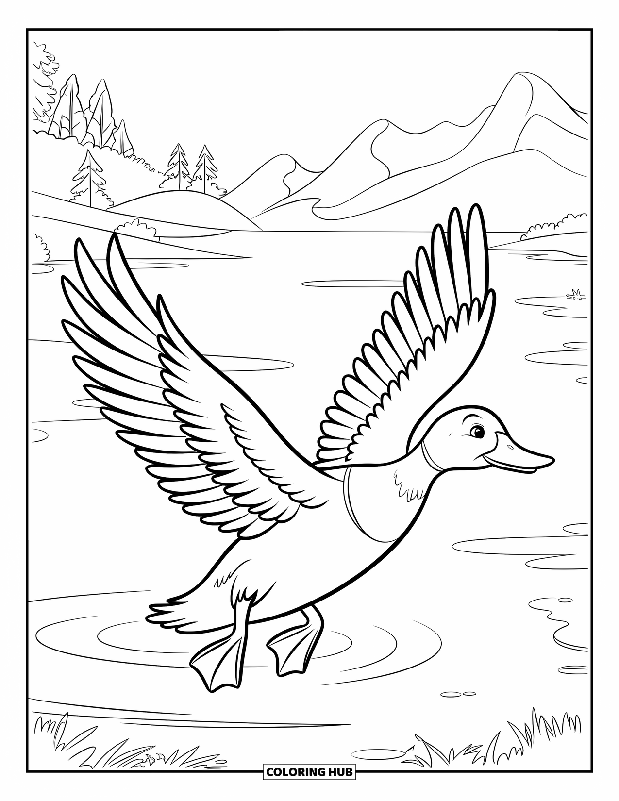 Disegno di un'anatra da colorare per bambini: Un'anatra vola bassa sopra un lago con ali piumate e riflessi panoramici