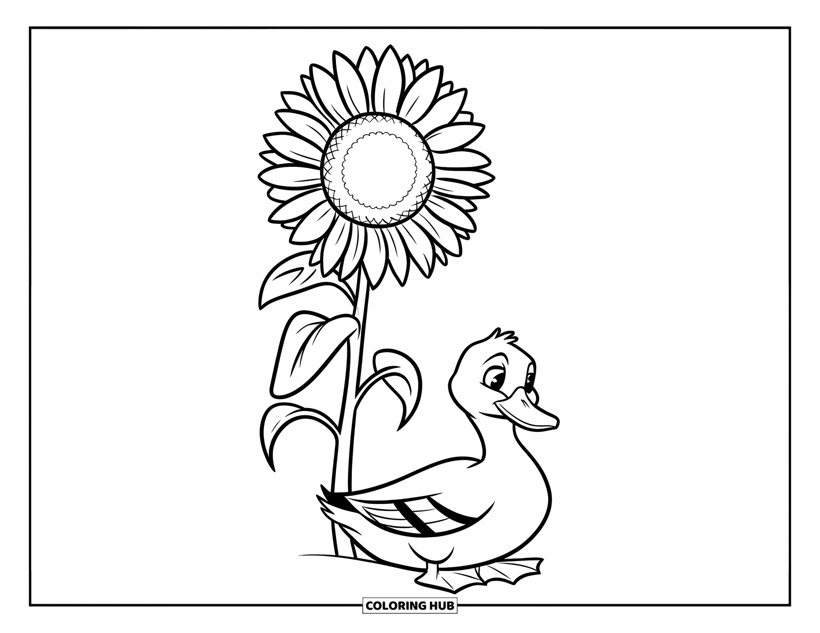 Disegno di un'anatra da colorare per bambini: Un'anatra si rilassa tranquillamente sotto un alto girasole su uno sfondo bianco