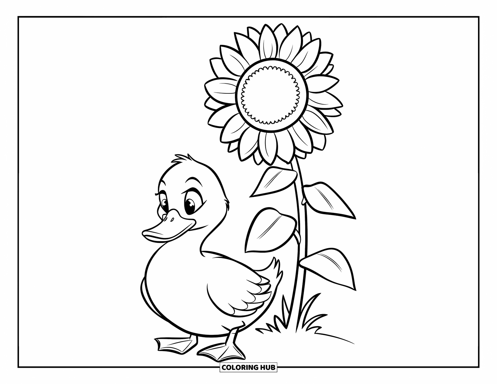 Disegno di un'anatra da colorare per bambini: Un'anatra riposa tranquillamente sotto un alto girasole in un campo tranquillo