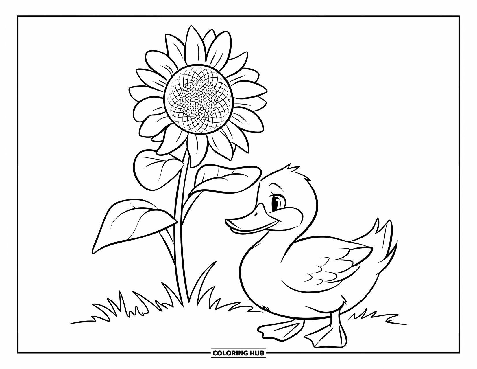 Disegno di un'anatra da colorare per bambini: Un'anatra siede pacificamente sotto un girasole in un campo erboso e soleggiato