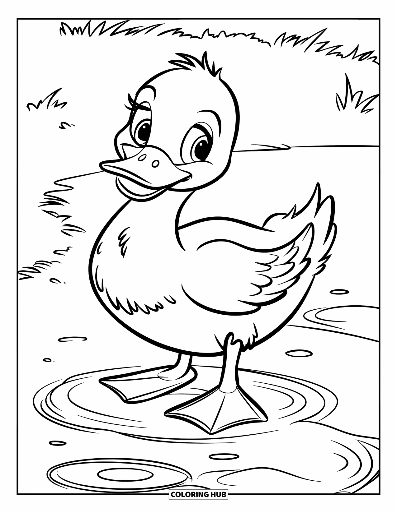 Disegno di un'anatra da colorare per bambini: Un'anatra con i piedi luminosi sguazza in una pozzanghera sull'erba