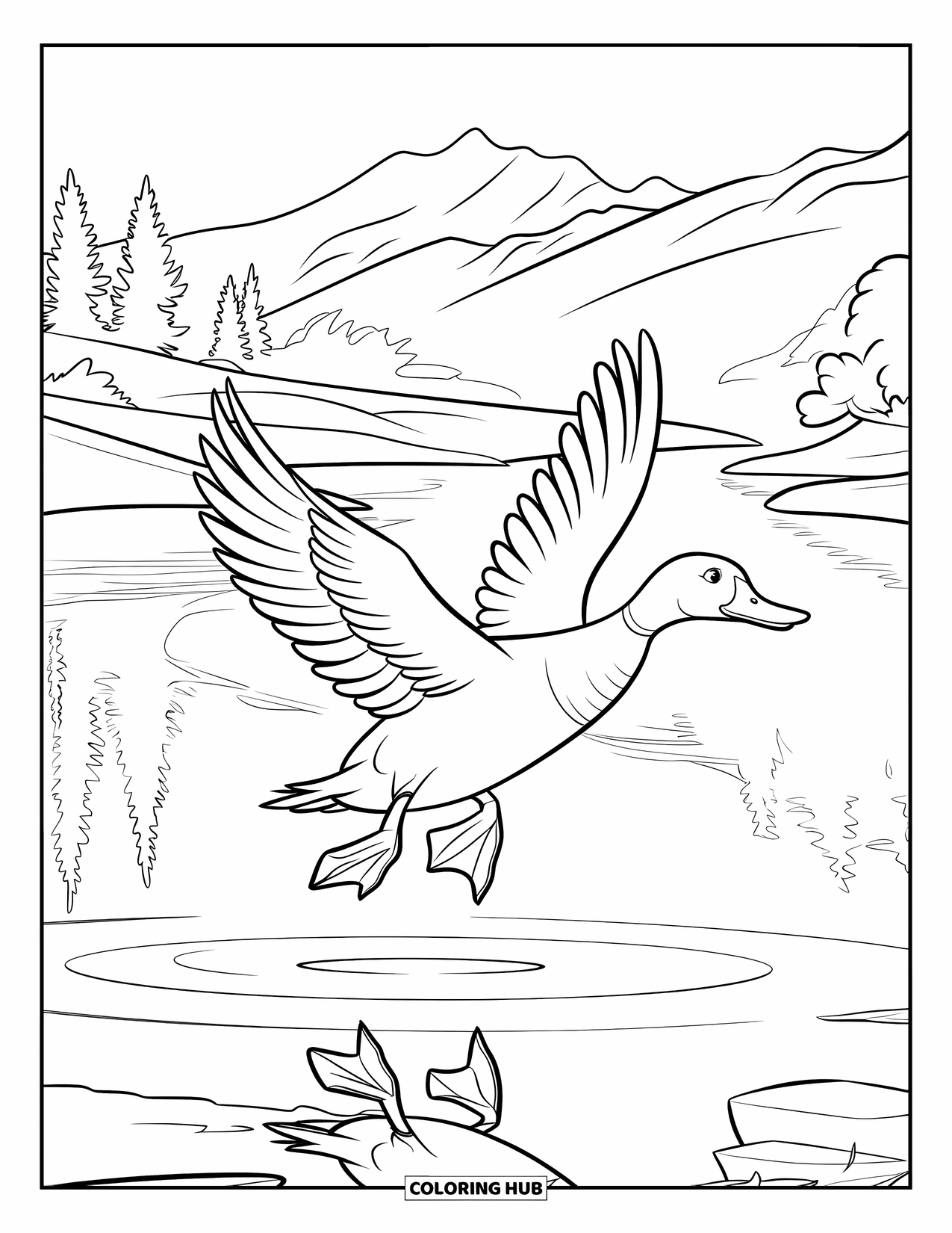 Disegno di un'anatra da colorare per bambini: Un'anatra con le ali spiegate vola sopra un lago incorniciato da montagne e alberi
