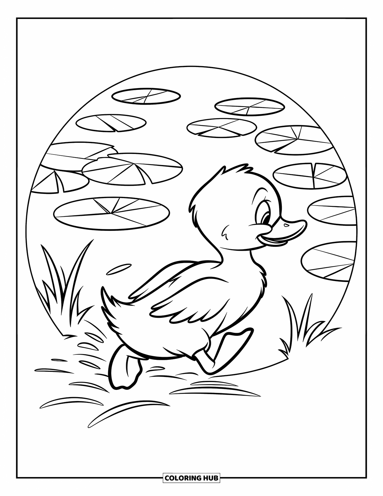 Disegno di un'anatra da colorare per bambini: Un anatroccolo scatta verso un laghetto, circondato da un disegno circolare