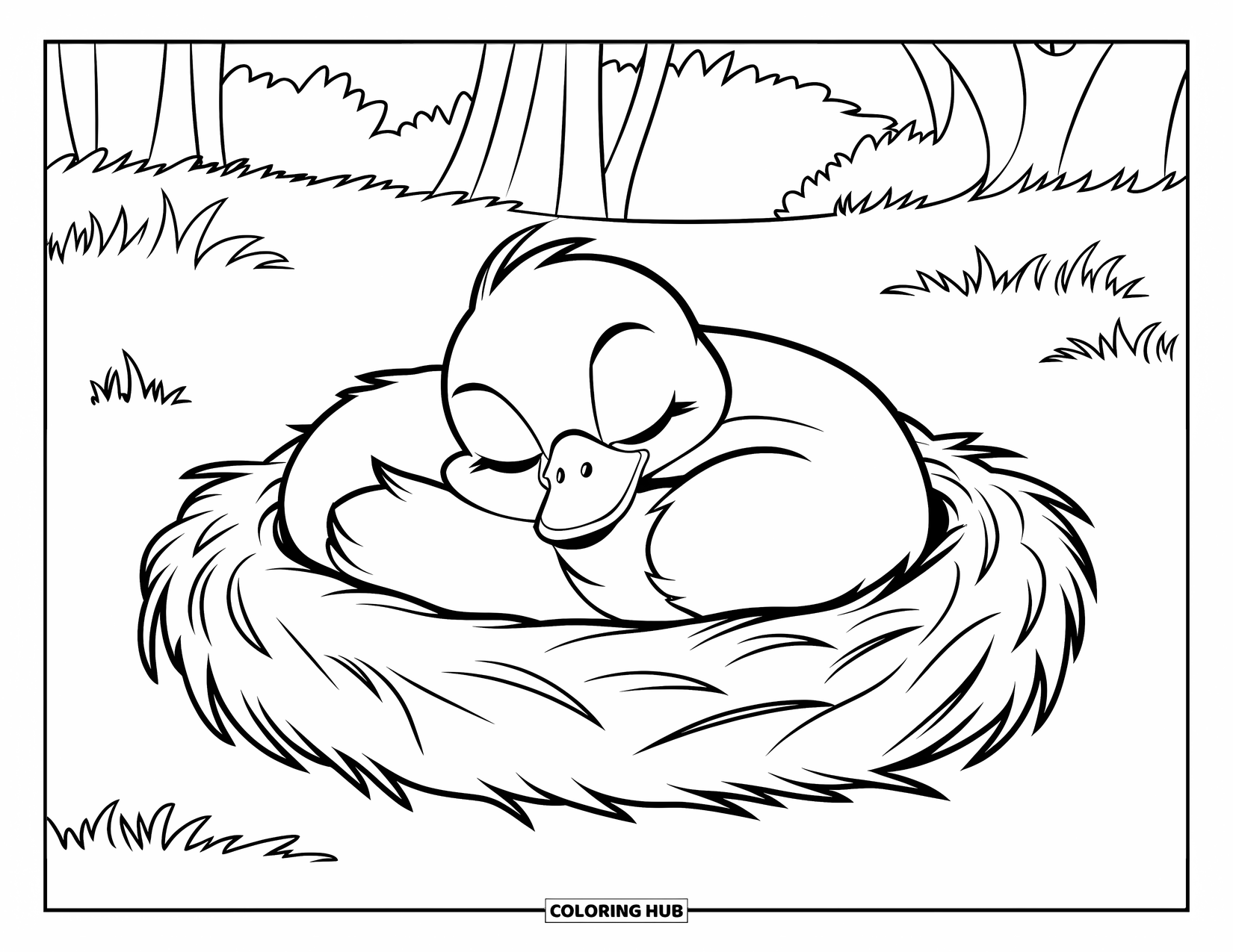 Disegno di un'anatra da colorare per bambini: Un'anatra assonnata si rannicchia all'interno di un nido rotondo su un campo erboso