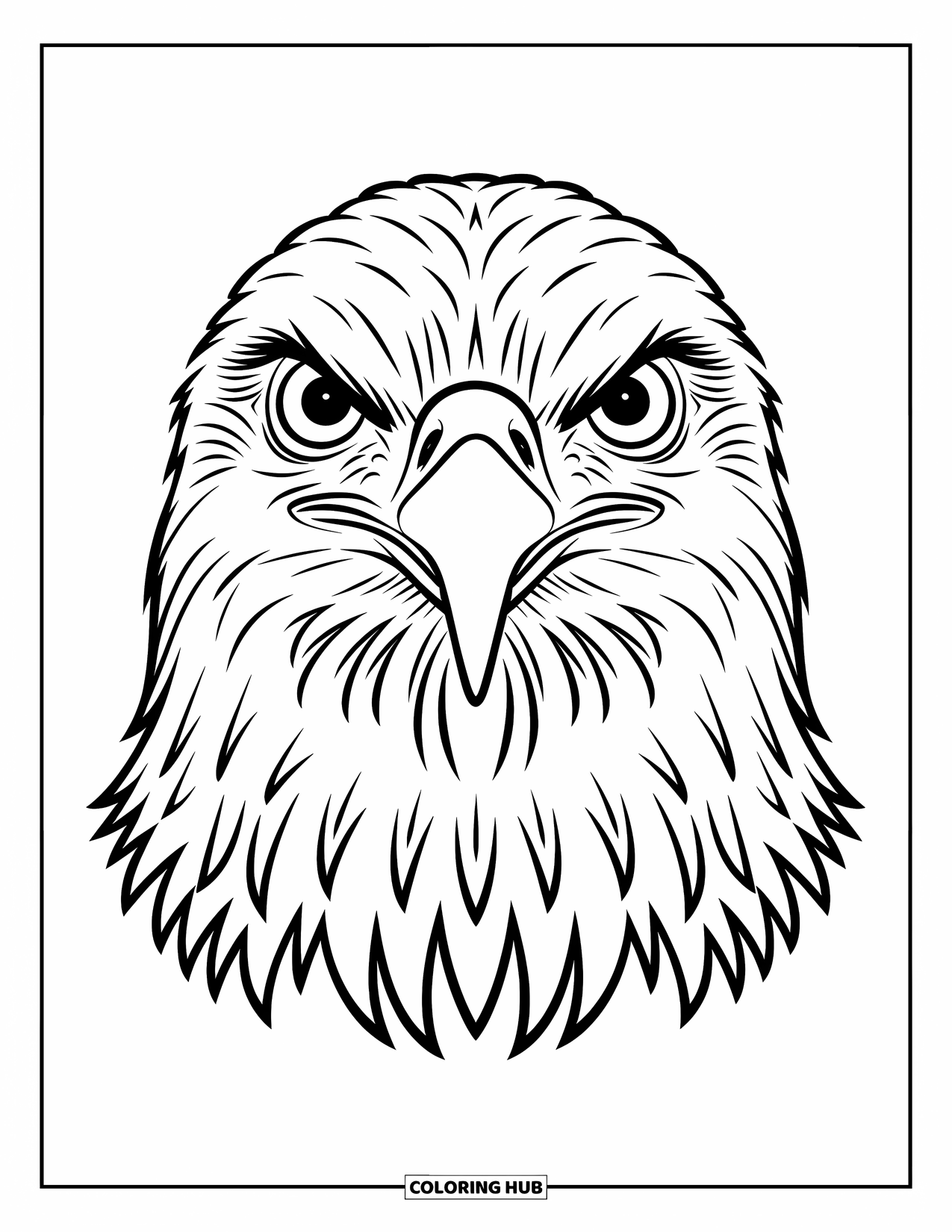 Desenho de Águia para Colorir para Crianças: Um rosto simples de águia com grandes olhos e um bico afiado se destaca no branco