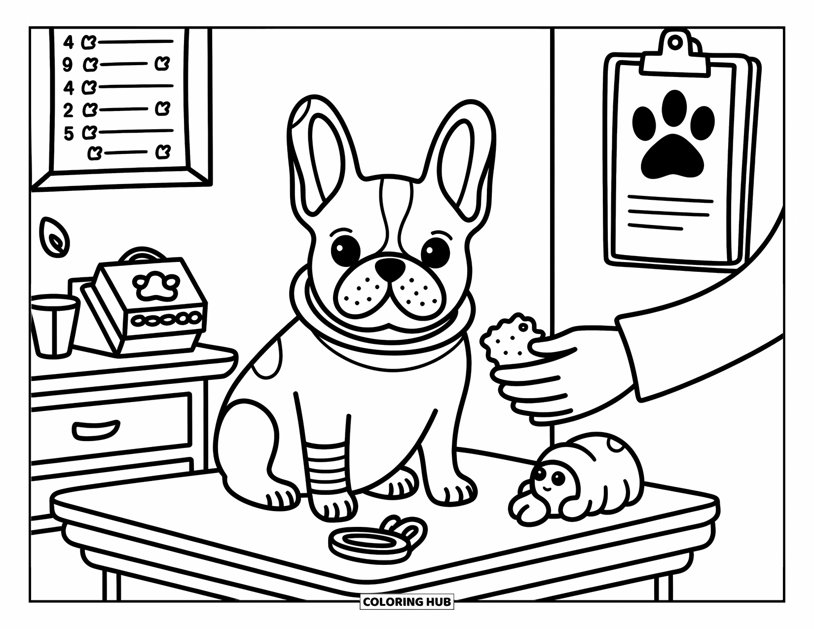 Desenho de Bulldog Francês para Adultos: Bulldog Francês com um cone e bandagem espera pacientemente por um petisco no veterinário