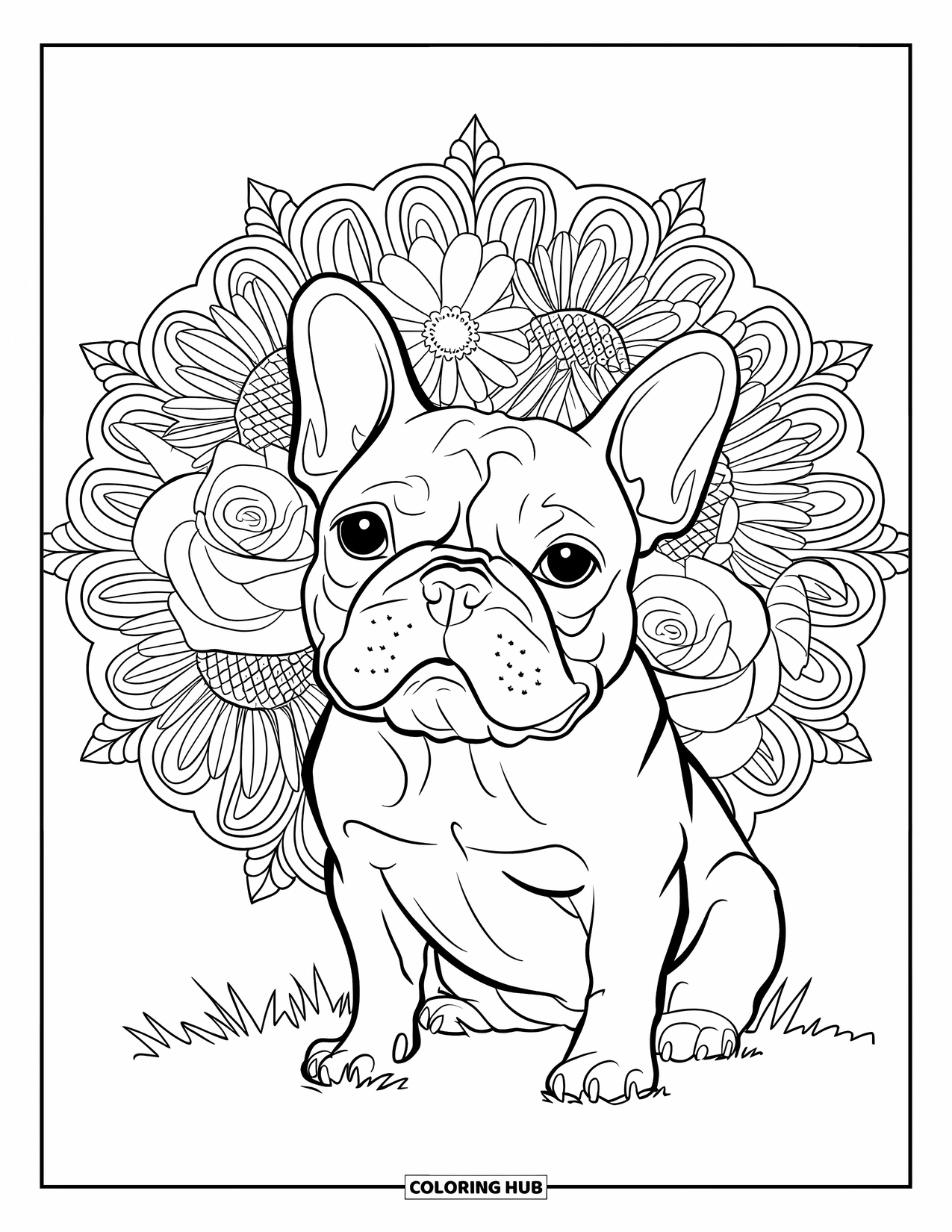 Desenho de Bulldog Francês para Adultos: Frenchie com um olhar brincalhão sentado em frente a flores de mandala desabrochando