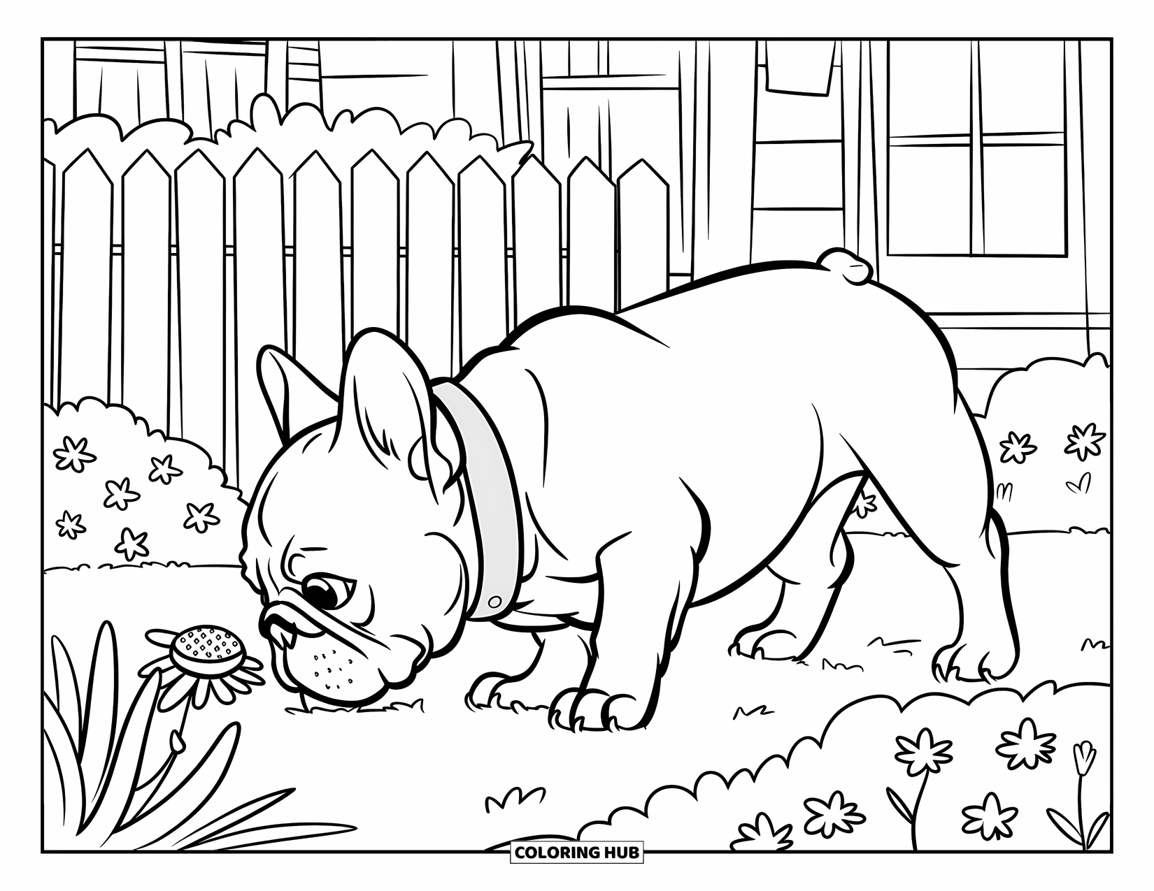 Desenho de Bulldog Francês para Crianças: Frenchie fofo cheira flores desabrochando perto de uma casa aconchegante