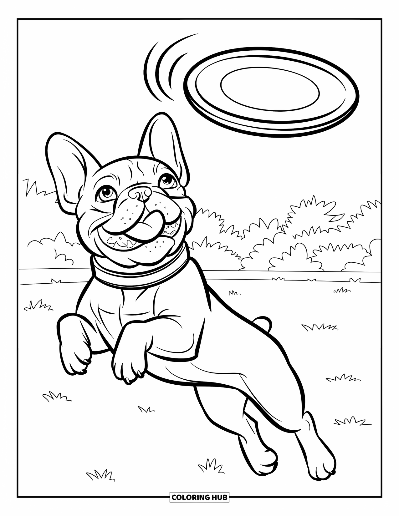 Desenho de Bulldog Francês para Crianças: Bulldog Francês salta no ar, perseguindo um frisbee voador