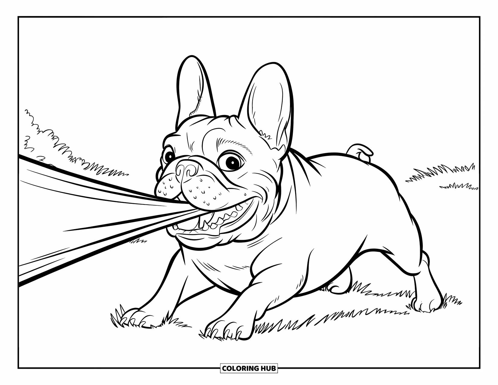 Desenho de Bulldog Francês para Crianças: Bulldog Francês puxa um cobertor com um sorriso orgulhoso em um campo ensolarado