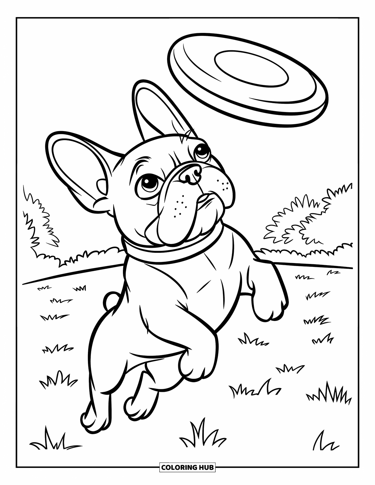 Desenho de Bulldog Francês para Crianças: Frenchie pula alto para pegar um frisbee em um campo gramado