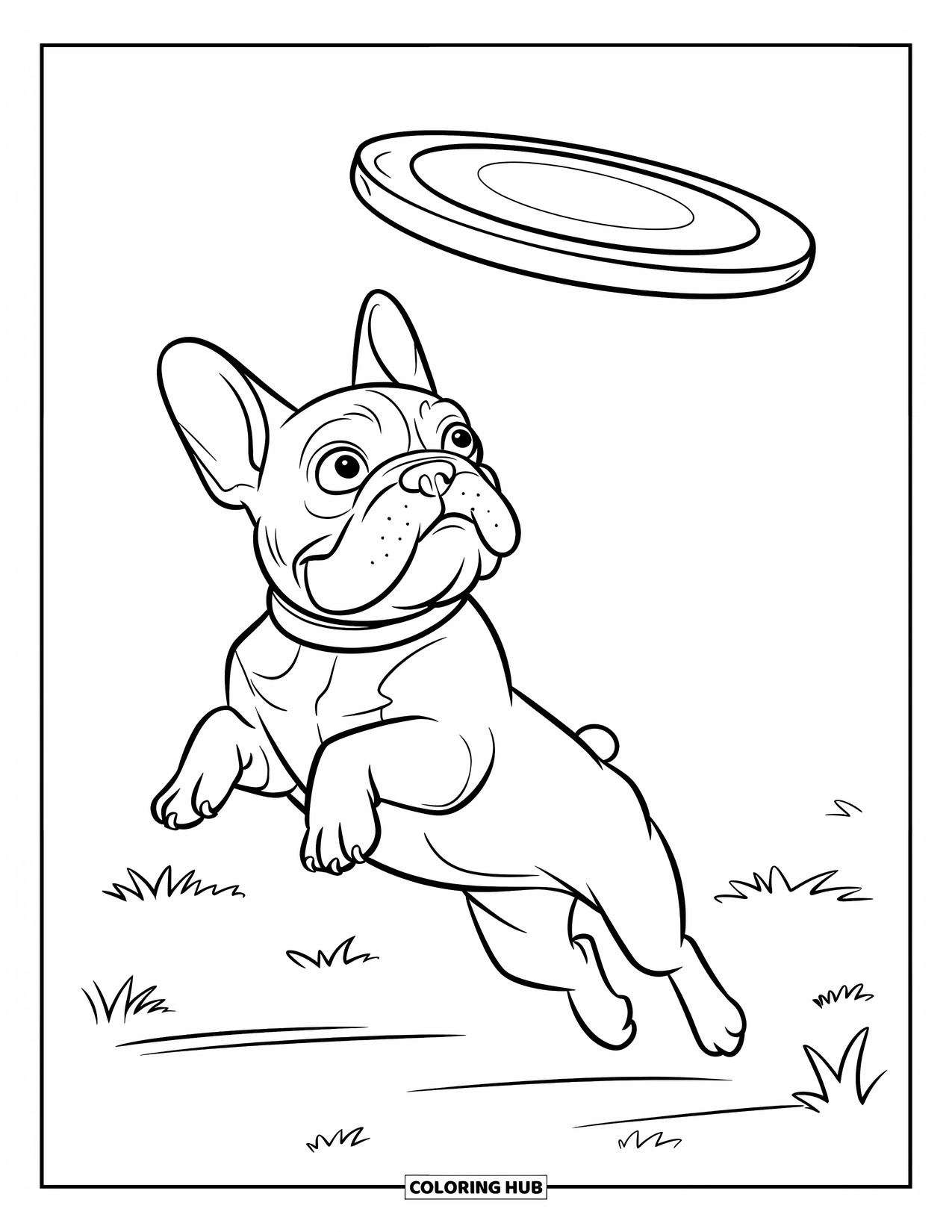 Desenho de Bulldog Francês para Crianças: Frenchie salta atrás de um frisbee com orelhas caídas voando