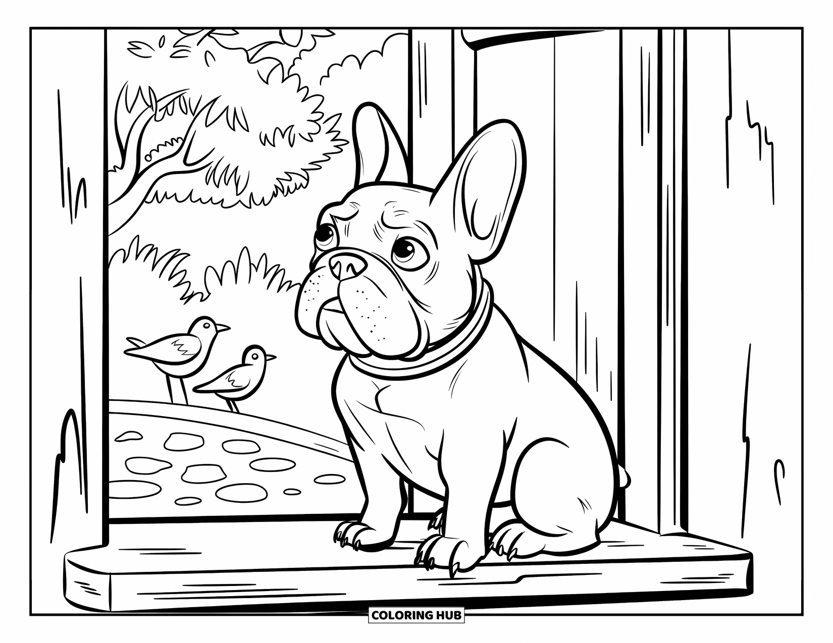 Desenho de Bulldog Francês para Crianças: Frenchie com orelhas em pé observa pássaros através de uma janela de madeira