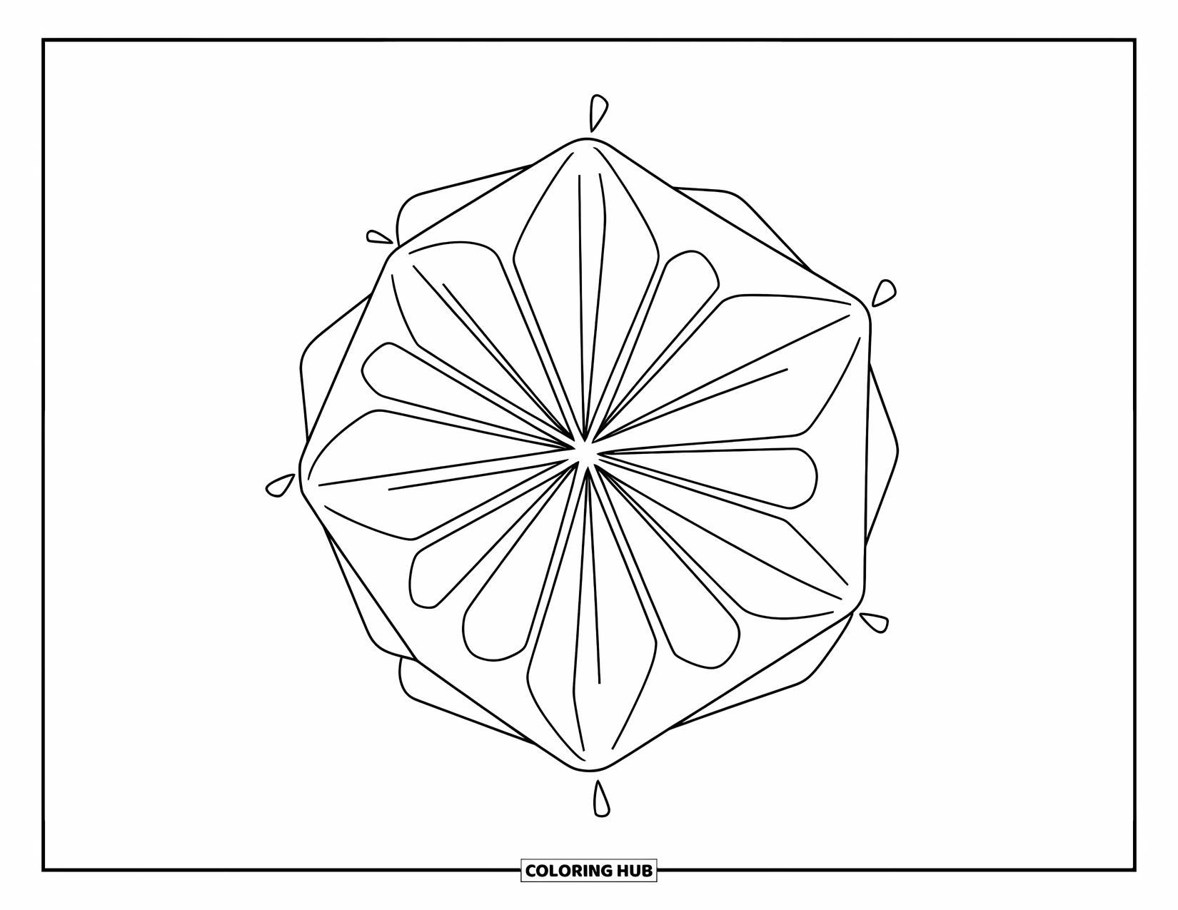 Geometric Coloring Page for Kids: A striking hexagon flower blooms with energy and structure