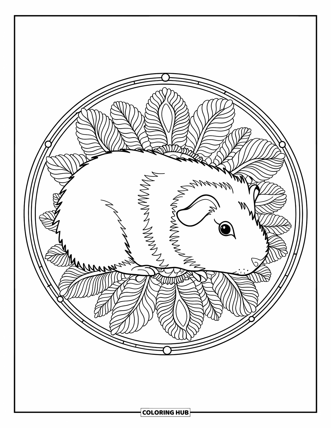 Desenho de Porquinho-da-Índia para Adultos: Porquinho-da-índia se enrola dentro de uma mandala floral com uma borda circular pacífica