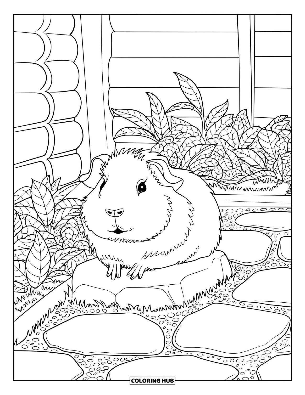 Desenho de Porquinho-da-Índia para Adultos: Porquinho-da-índia relaxa em pedras estampadas em um jardim de chá tranquilo