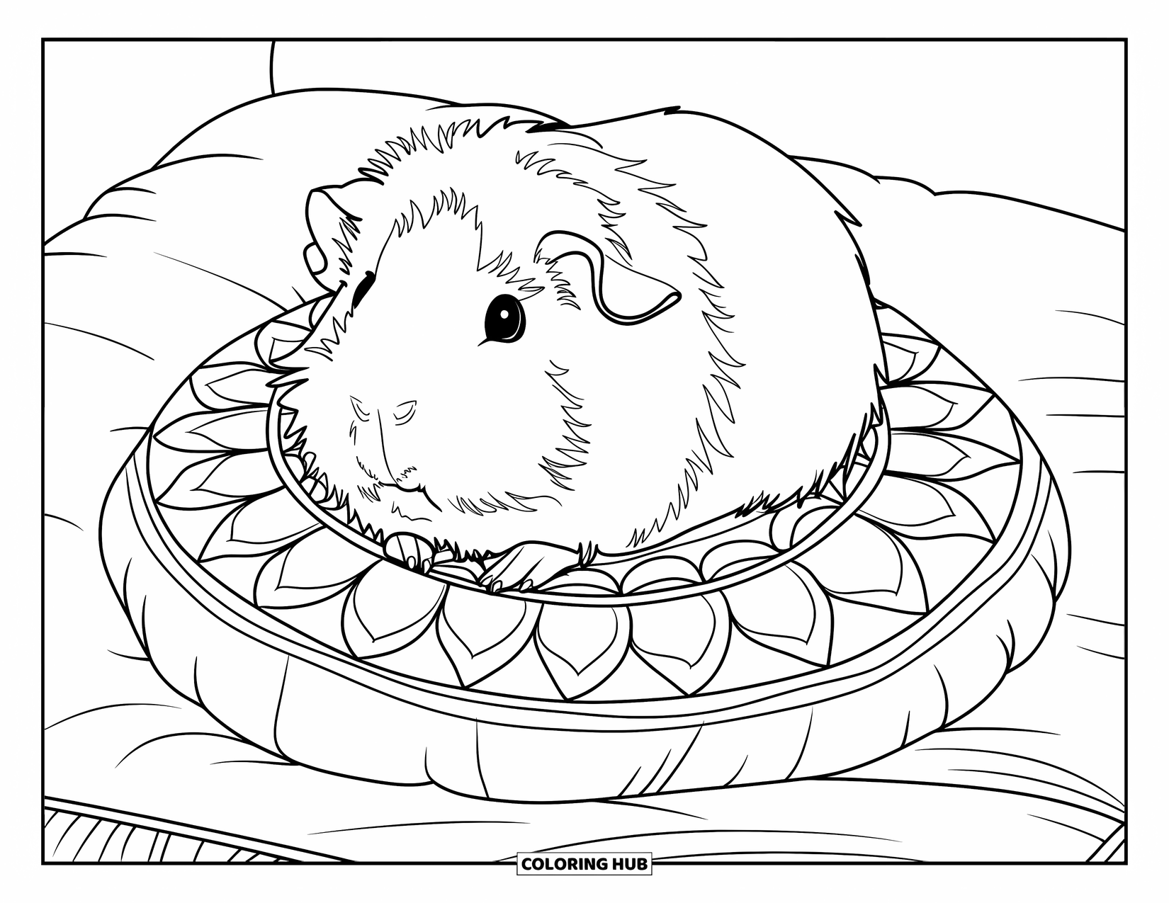 Desenho de Porquinho-da-Índia para Adultos: Porquinho-da-índia descansa na vertical em uma almofada detalhada com um fundo branco simples