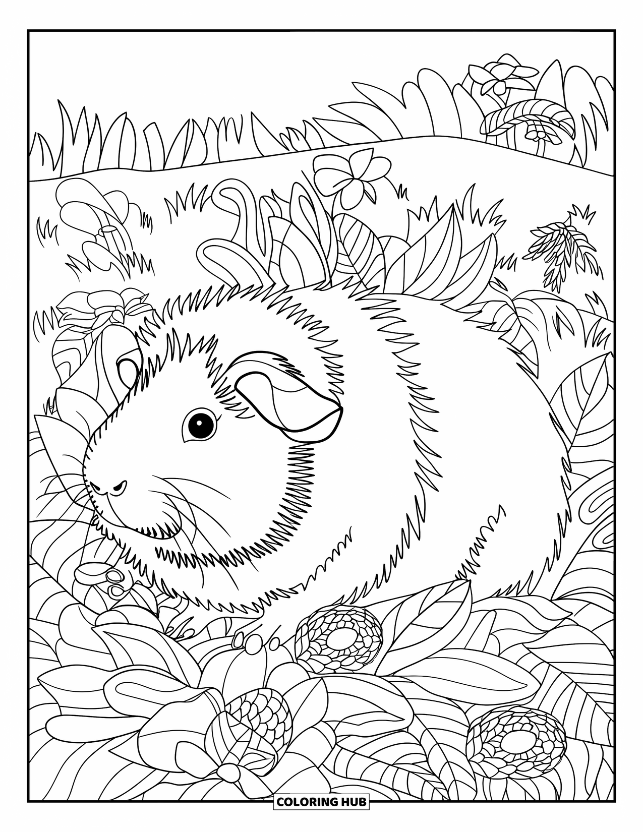 Desenho de Porquinho-da-Índia para Adultos: Porquinho-da-índia com pelo em camadas deita-se em um campo frondoso cheio de flores desabrochando