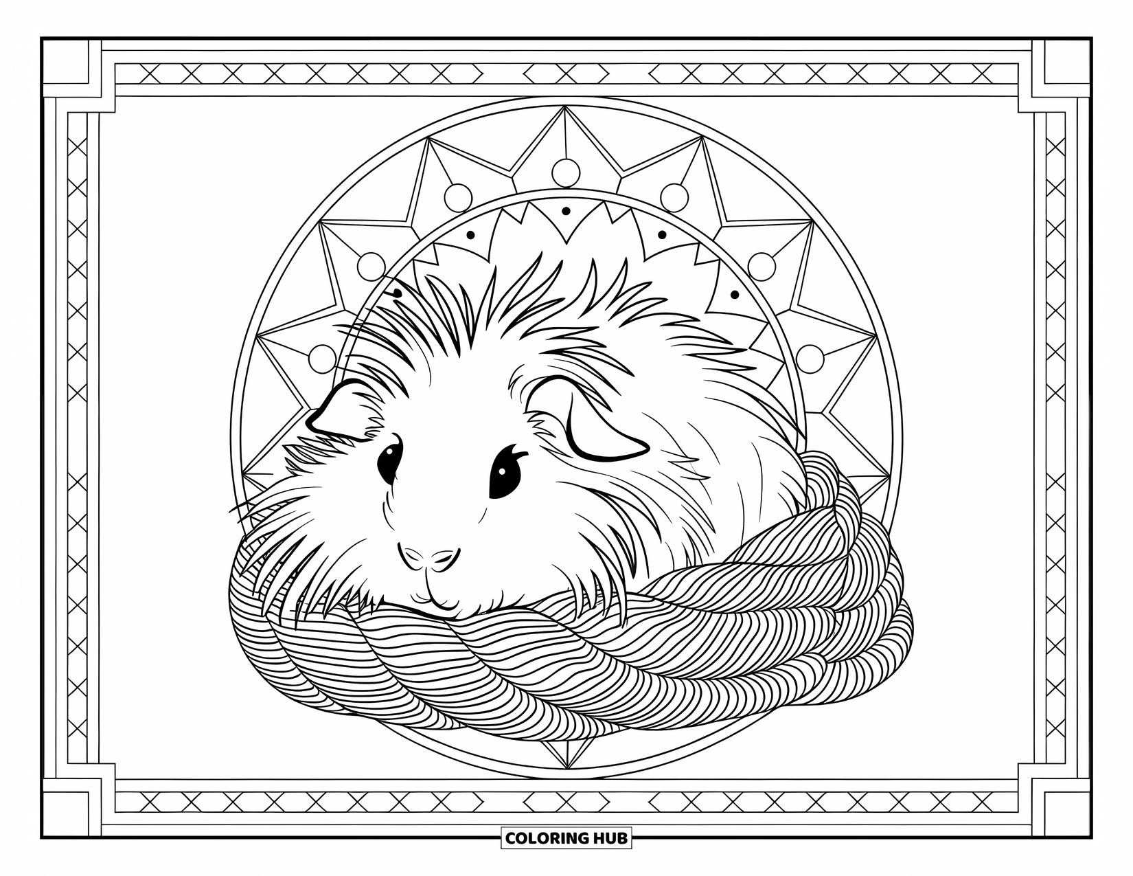 Desenho de Porquinho-da-Índia para Adultos: Porquinho-da-índia de pelo comprido se enrola em lã cercado por padrões geométricos