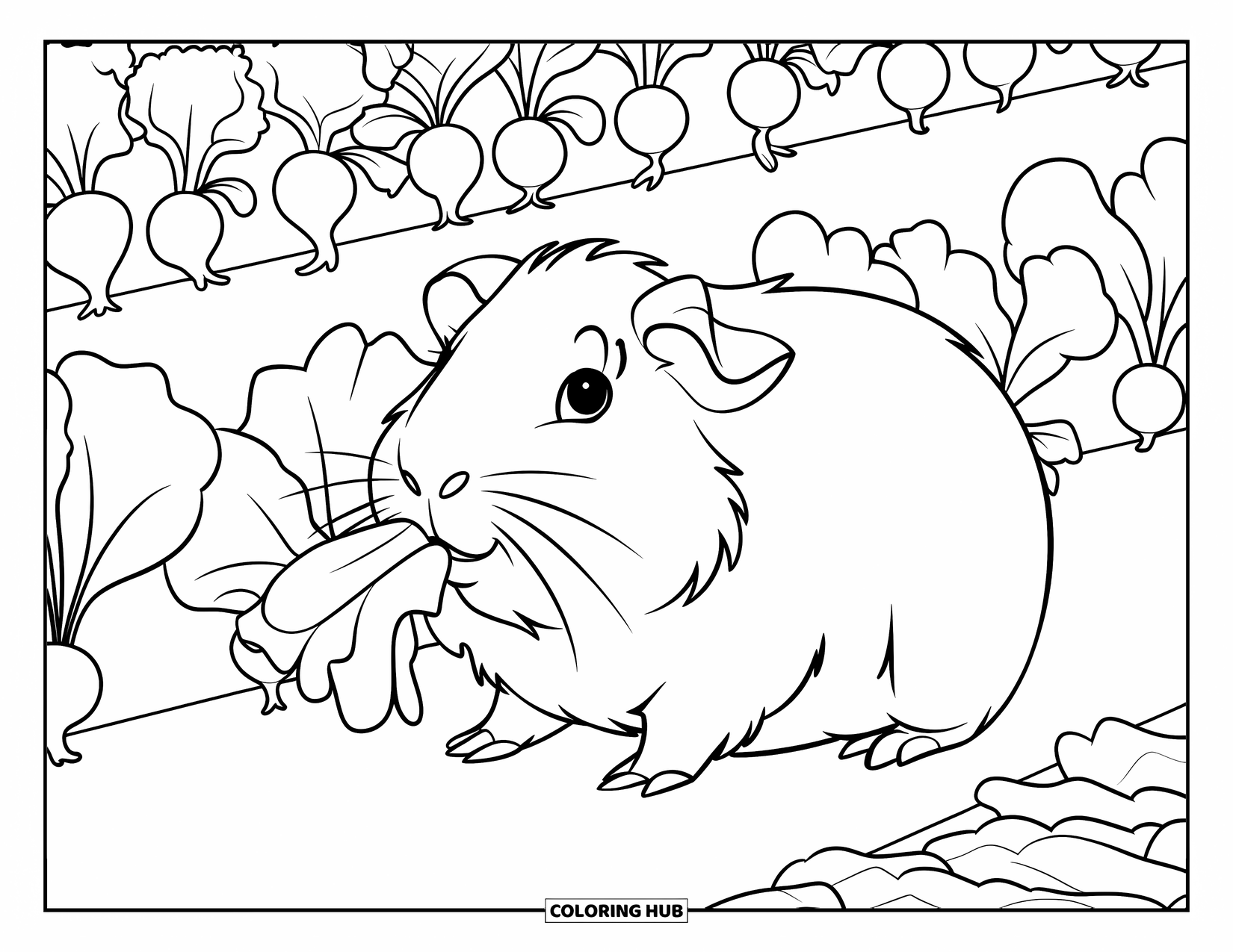 Desenho de Porquinho-da-Índia para Crianças: Porquinho-da-índia segura uma folha de alface em um jardim brilhante cheio de rabanetes