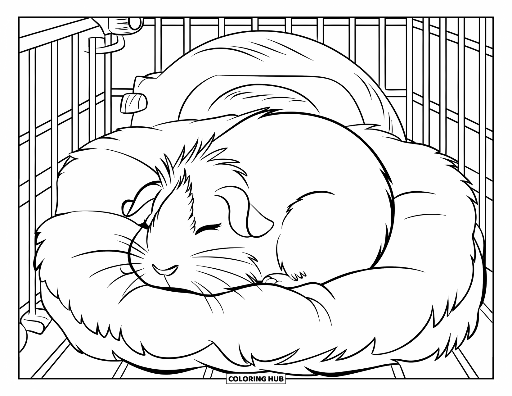 Desenho de Porquinho-da-Índia para Crianças: Porquinho-da-índia dorme pacificamente em uma cama fofa em uma gaiola silenciosa