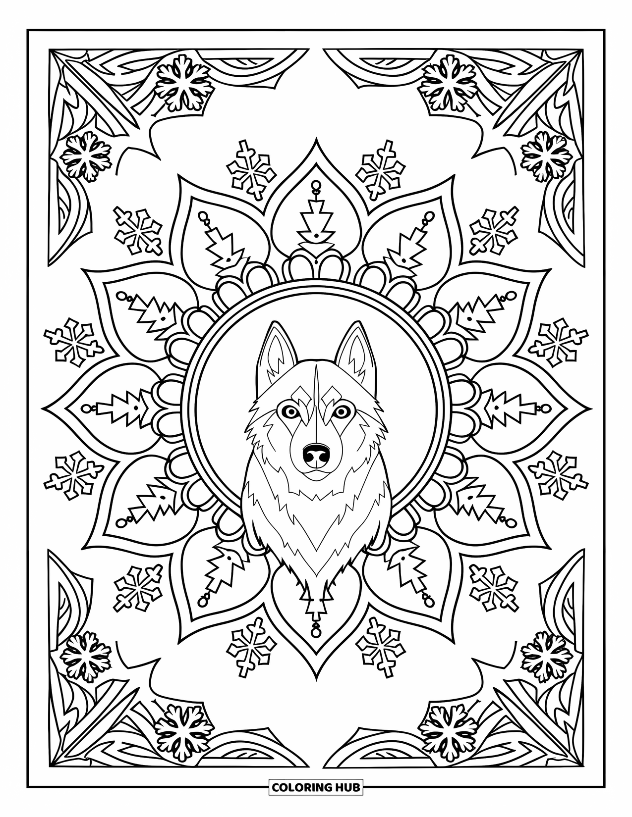 Husky Coloring Page for Adults: A husky sits inside a mandala filled with northern lights and snowflake-style patterns