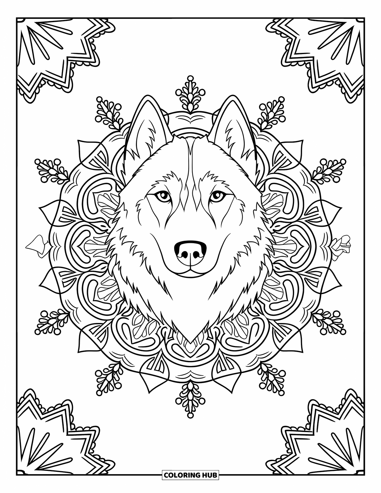Husky Coloring Page for Adults: A husky with perked ears rests in the middle of a snowflake and aurora-inspired mandala