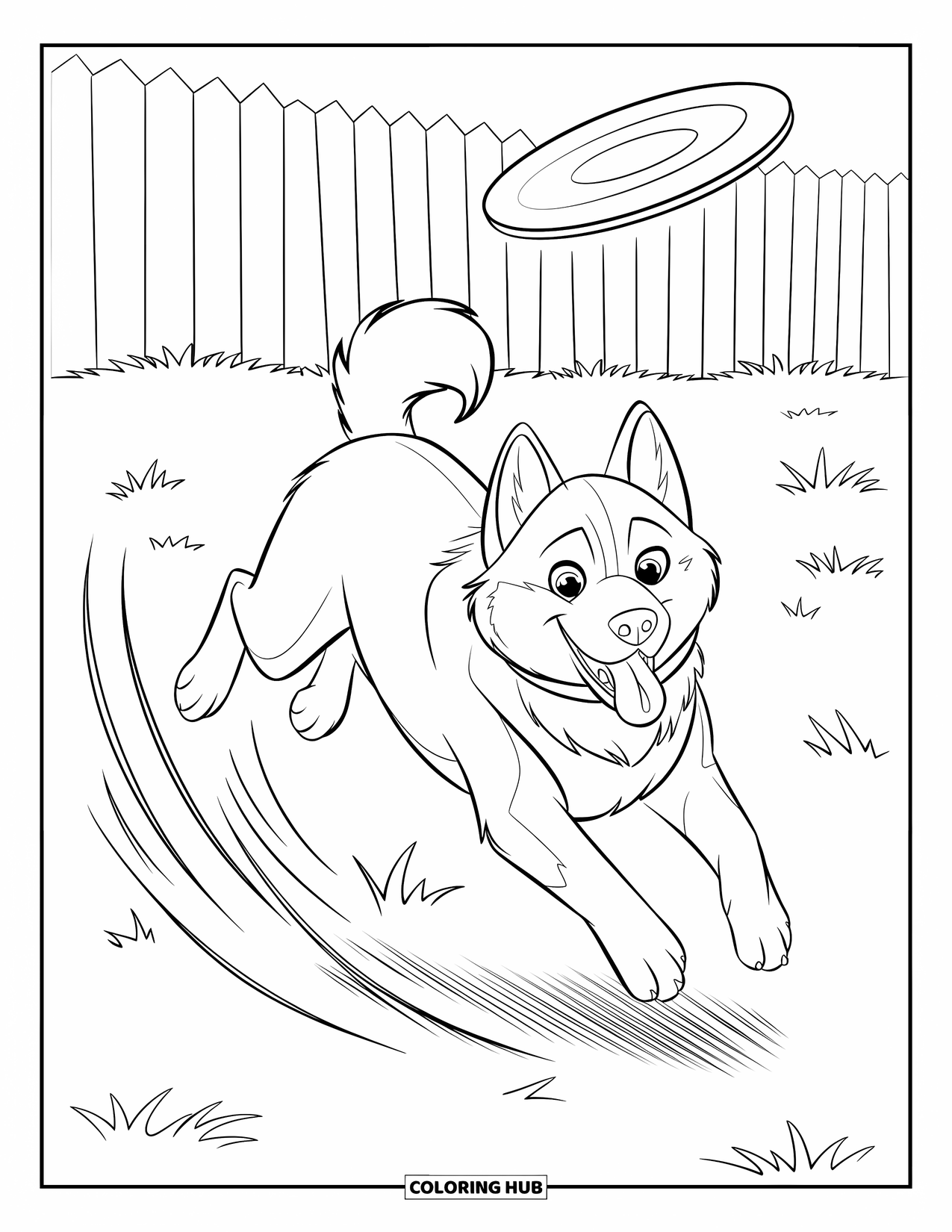 Husky Coloring Page for Kids: A husky mid-air with tongue out leaps for a frisbee in a fenced yard