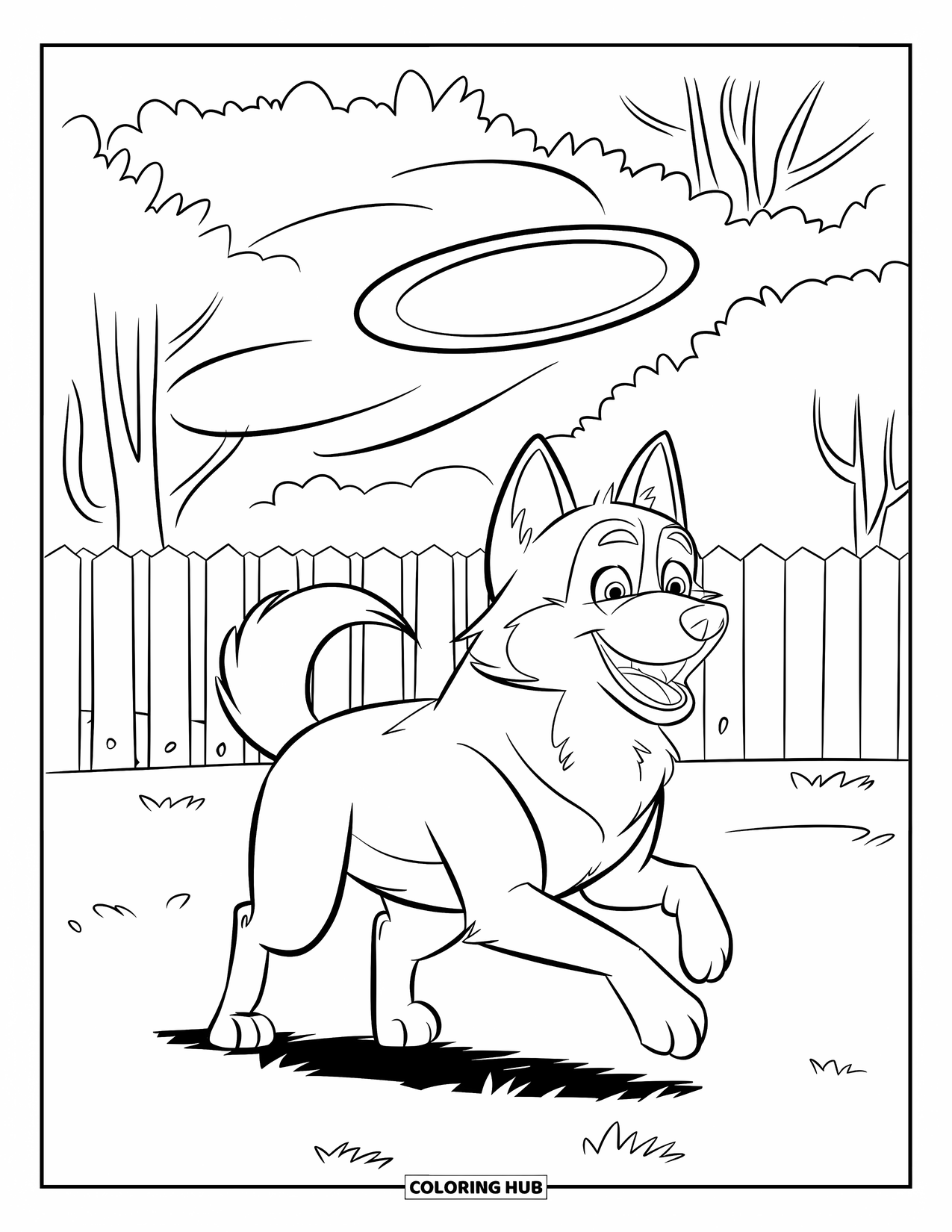 Husky Coloring Page for Kids: A husky runs across grass chasing a frisbee above a fenced yard