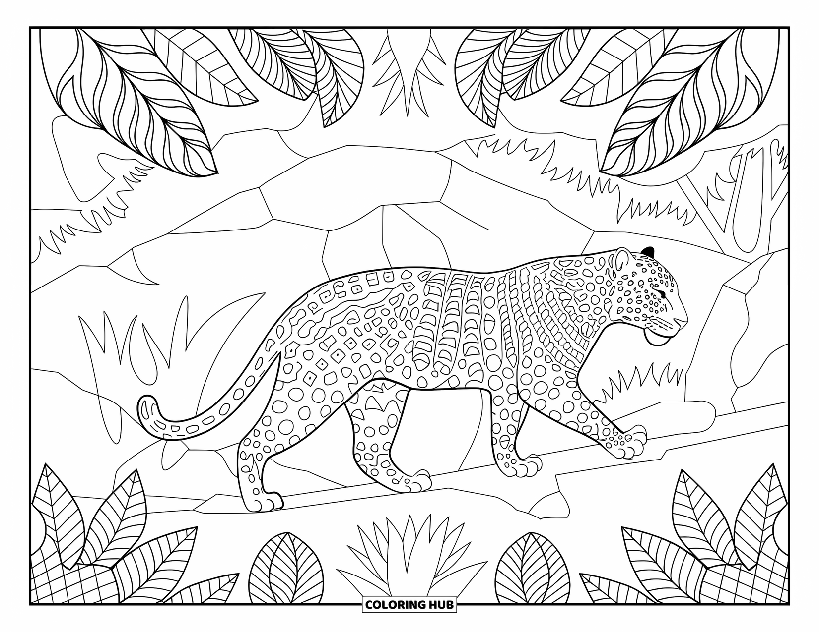 Jaguar Ausmalbild für Erwachsene: Ein Jaguar schreitet einen felsigen Dschungelpfad entlang, umgeben von üppigem, gemustertem Laub