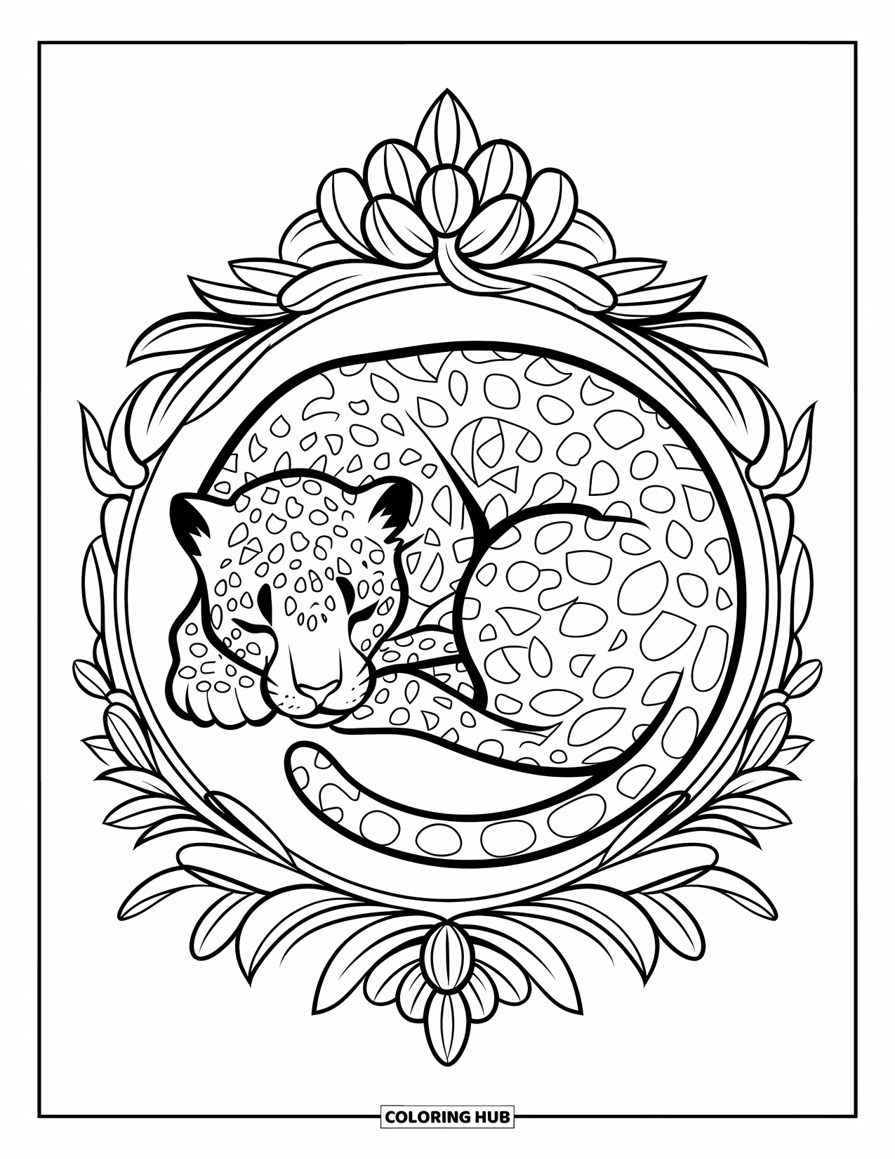Jaguar Ausmalbild für Erwachsene: Ein schlafender Jaguar rollt sich in einem floralen Rahmen mit filigranen, klaren botanischen Details zusammen
