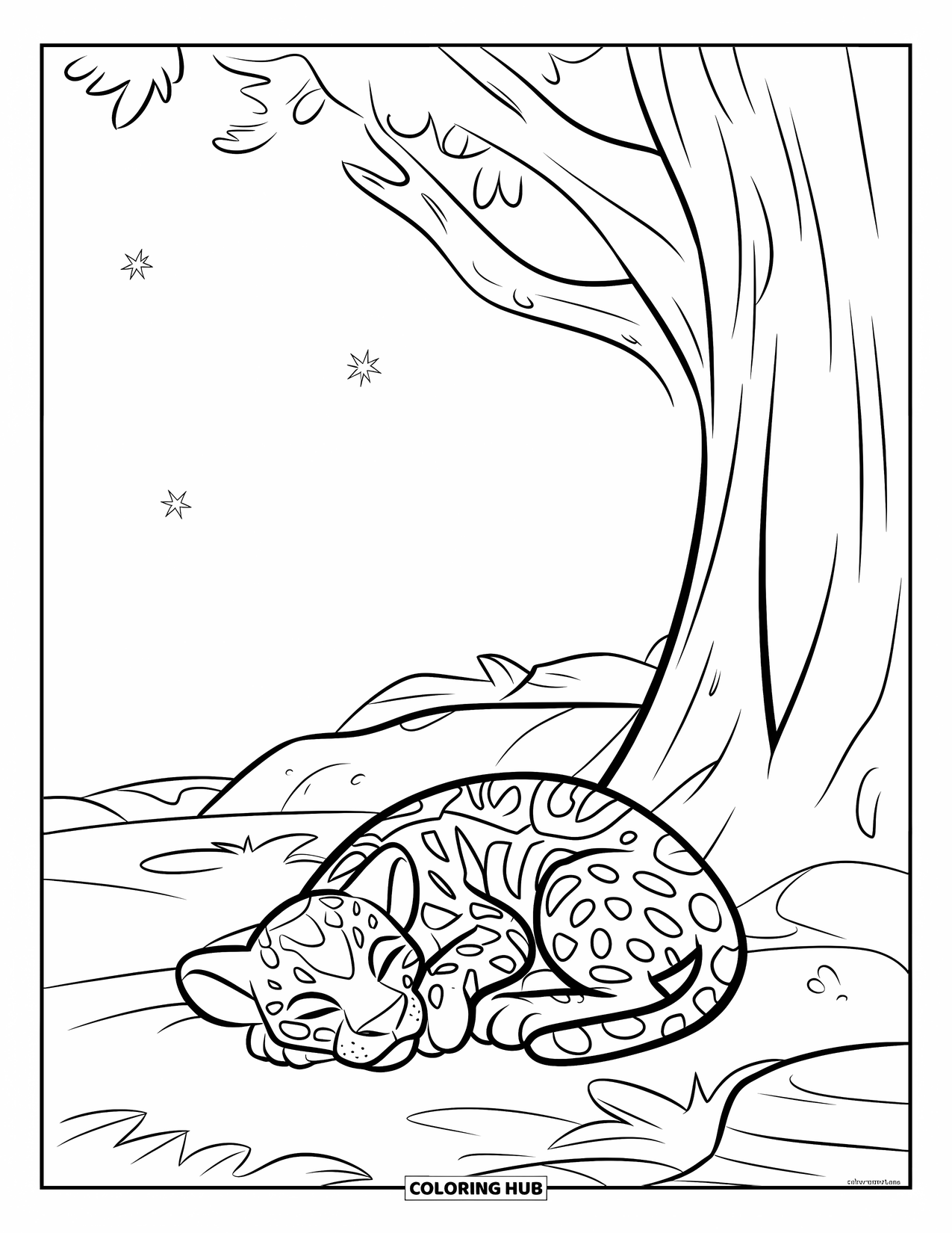 Jaguar Ausmalbild für Kinder: Ein Jaguarwelpe rollt sich unter einem Baum auf felsigem Boden unter einem Sternenhimmel zusammen