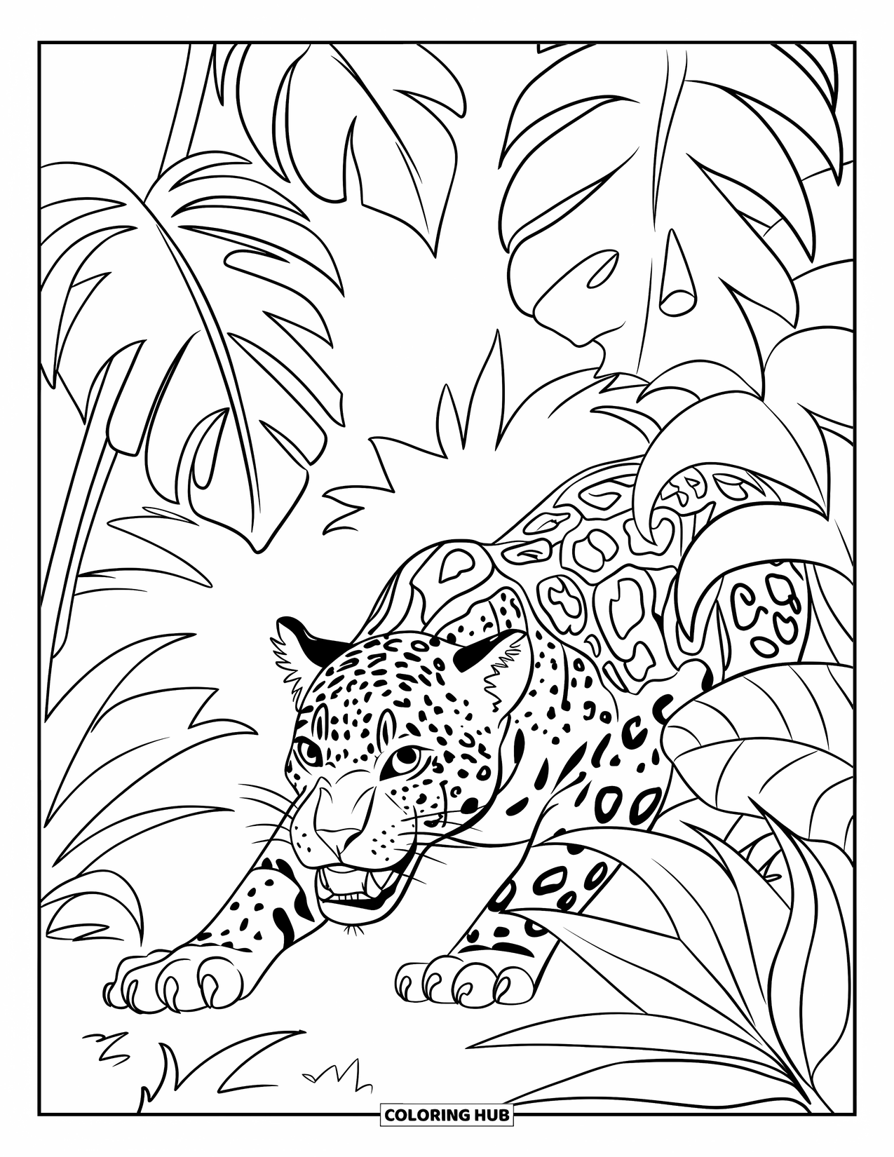 Jaguar Ausmalbild für Kinder: Ein Jaguar mit entblößten Zähnen kauert zwischen Dschungelblättern und Lianen