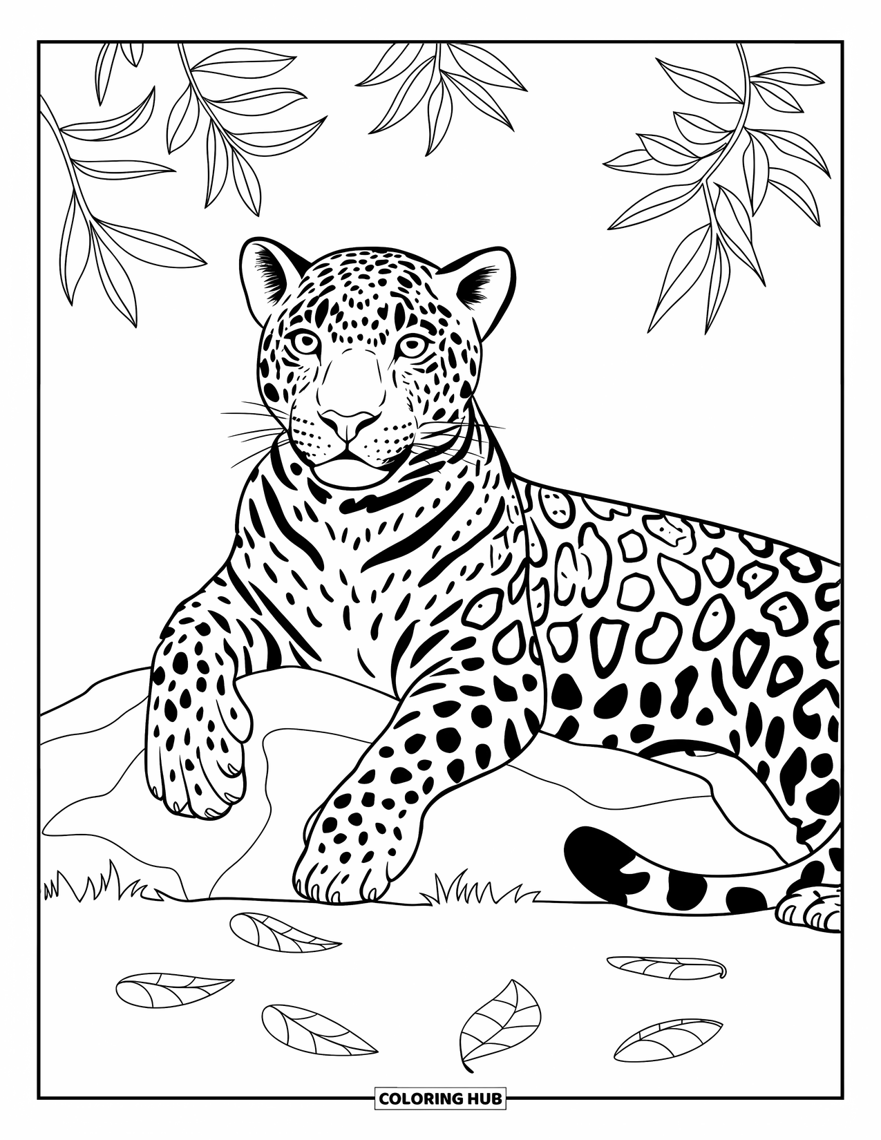 Jaguar Ausmalbild für Kinder: Ein ruhiger Jaguar legt seine Pfote auf einen von Blättern umgebenen Felsen