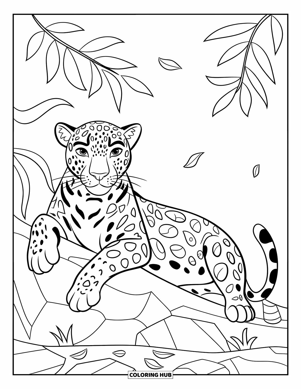 Jaguar Ausmalbild für Kinder: Ein entspannter Jaguar liegt auf einem Felsen mit kräftigen Konturen und ohne Hintergrund