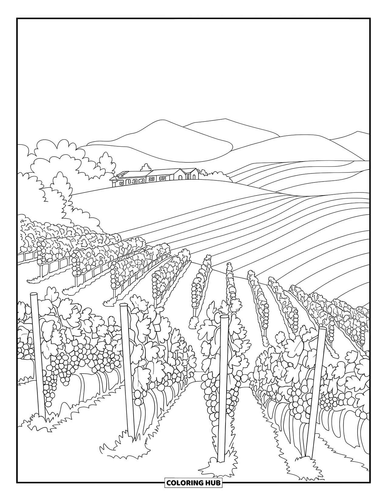 Landscape Coloring Page for Adults: A hillside vineyard with paths and grapevines surrounds a small farmhouse