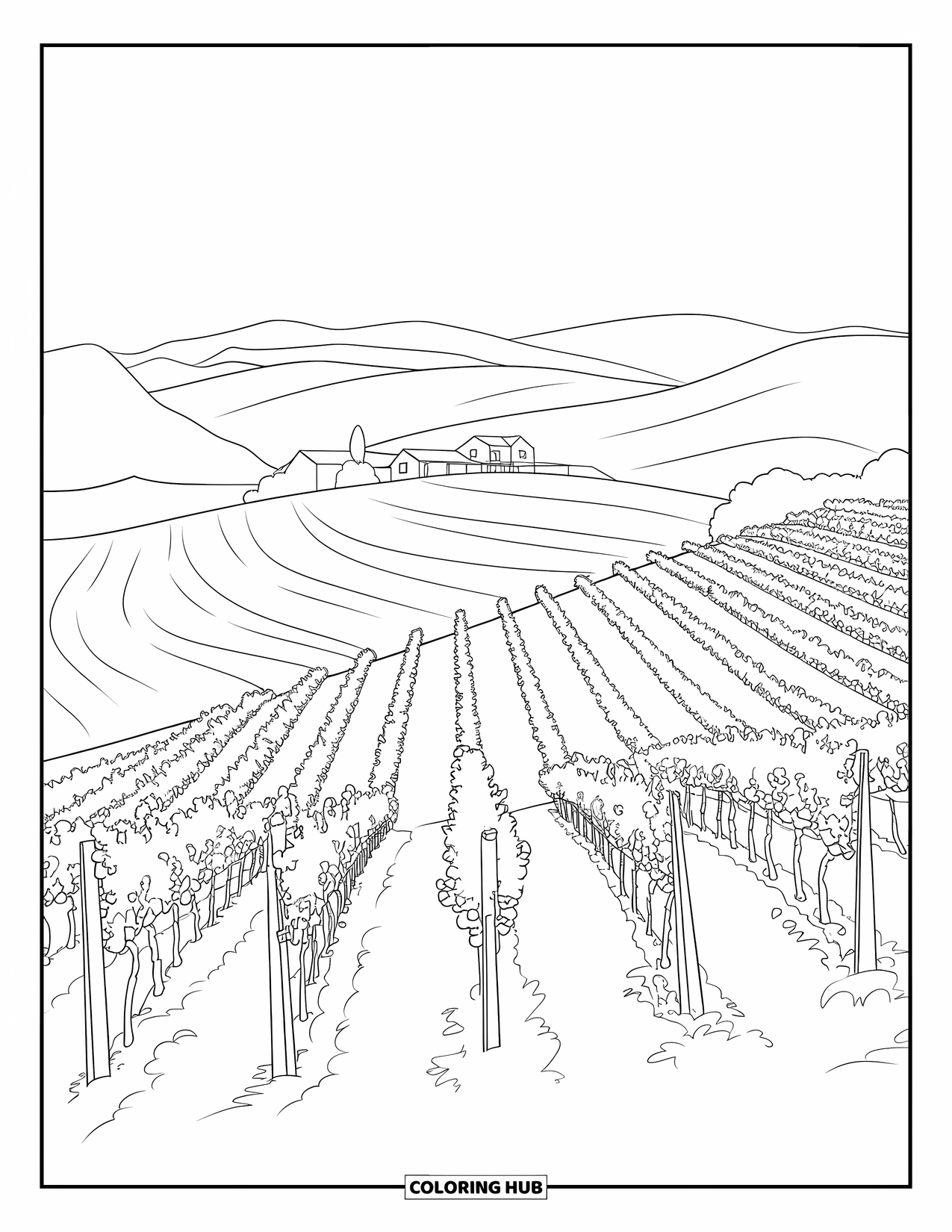Landscape Coloring Page for Adults: Grapevines line a hillside vineyard near a distant farmhouse