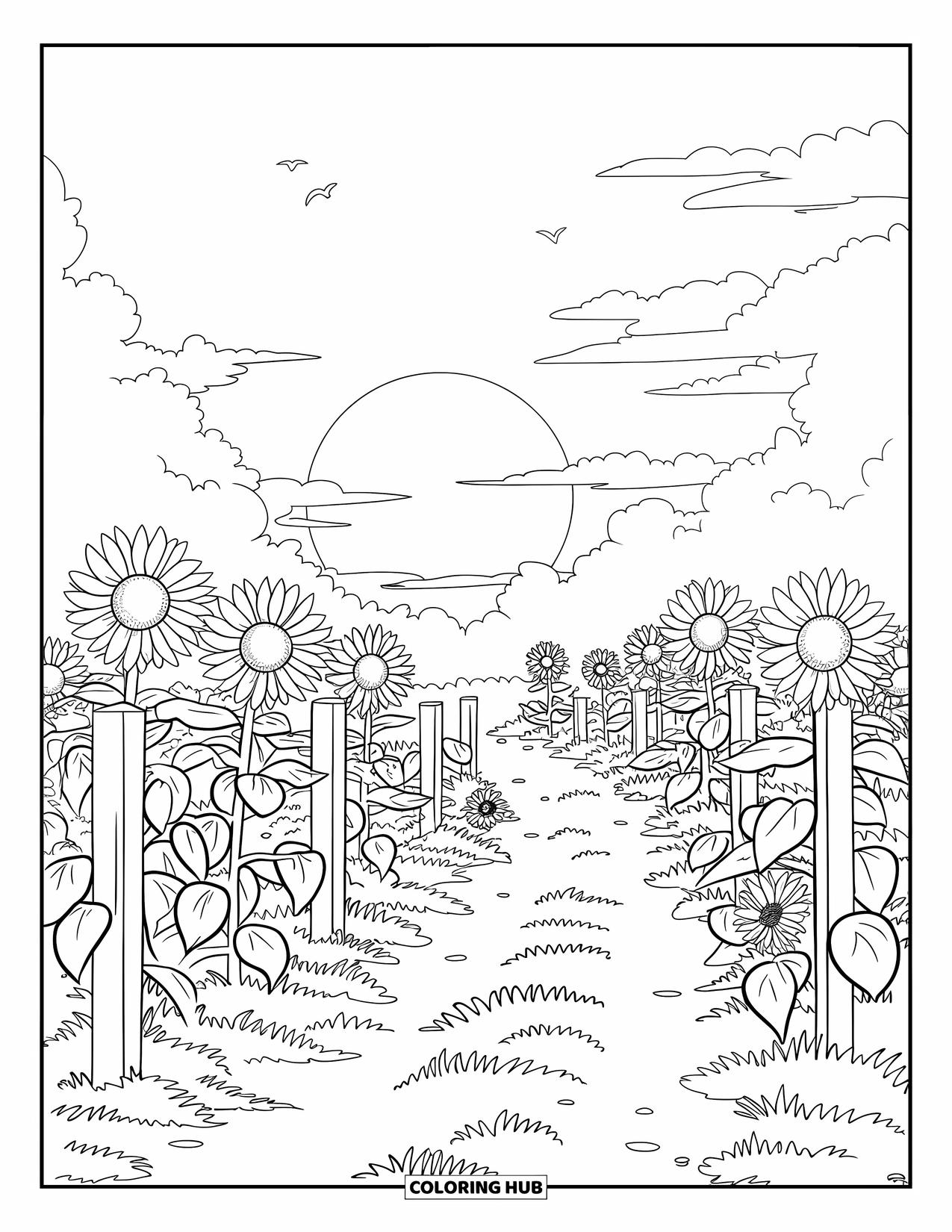 Landscape Coloring Page for Kids: A golden sunset glows over a path through sunflower fields