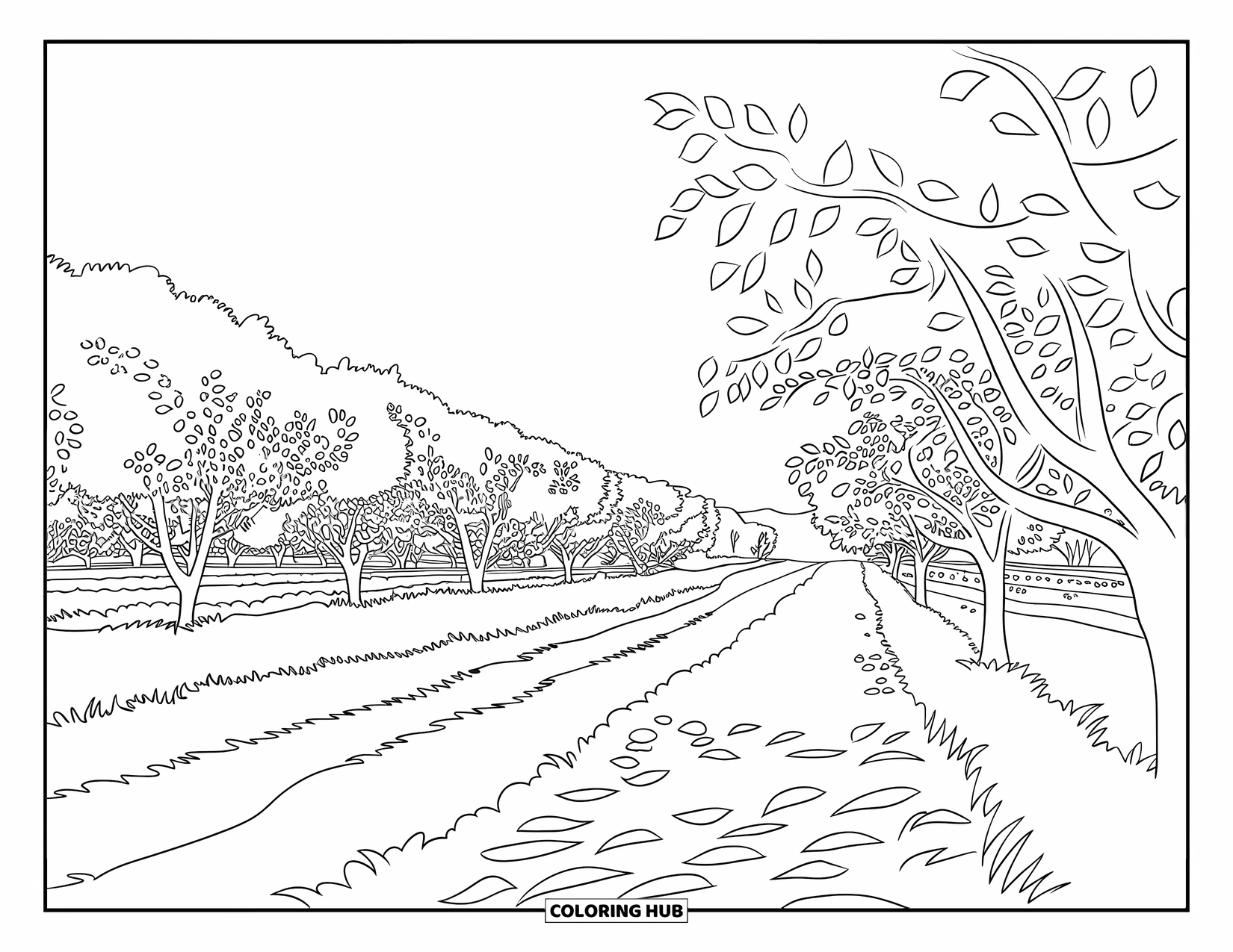 Landscape Coloring Page for Kids: A winding orchard trail flows through leafy trees and grassy ground