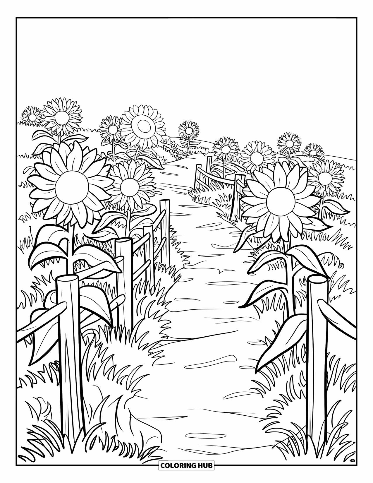 Landscape Coloring Page for Kids: Birds fly above wooden posts lining a sunflower trail at dusk