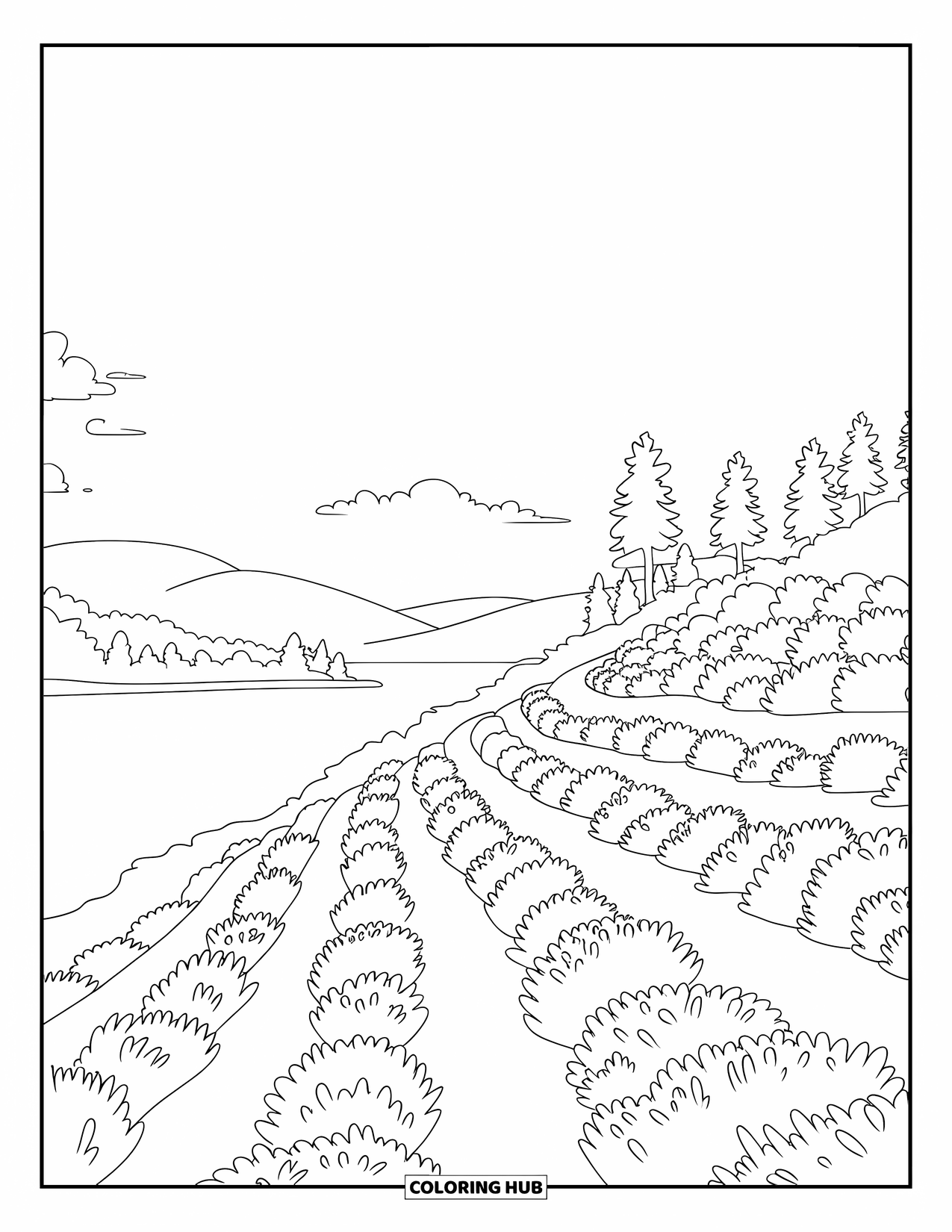 Landscape Coloring Page for Kids: Lavender bushes spread across a lakeside hill with winding trails